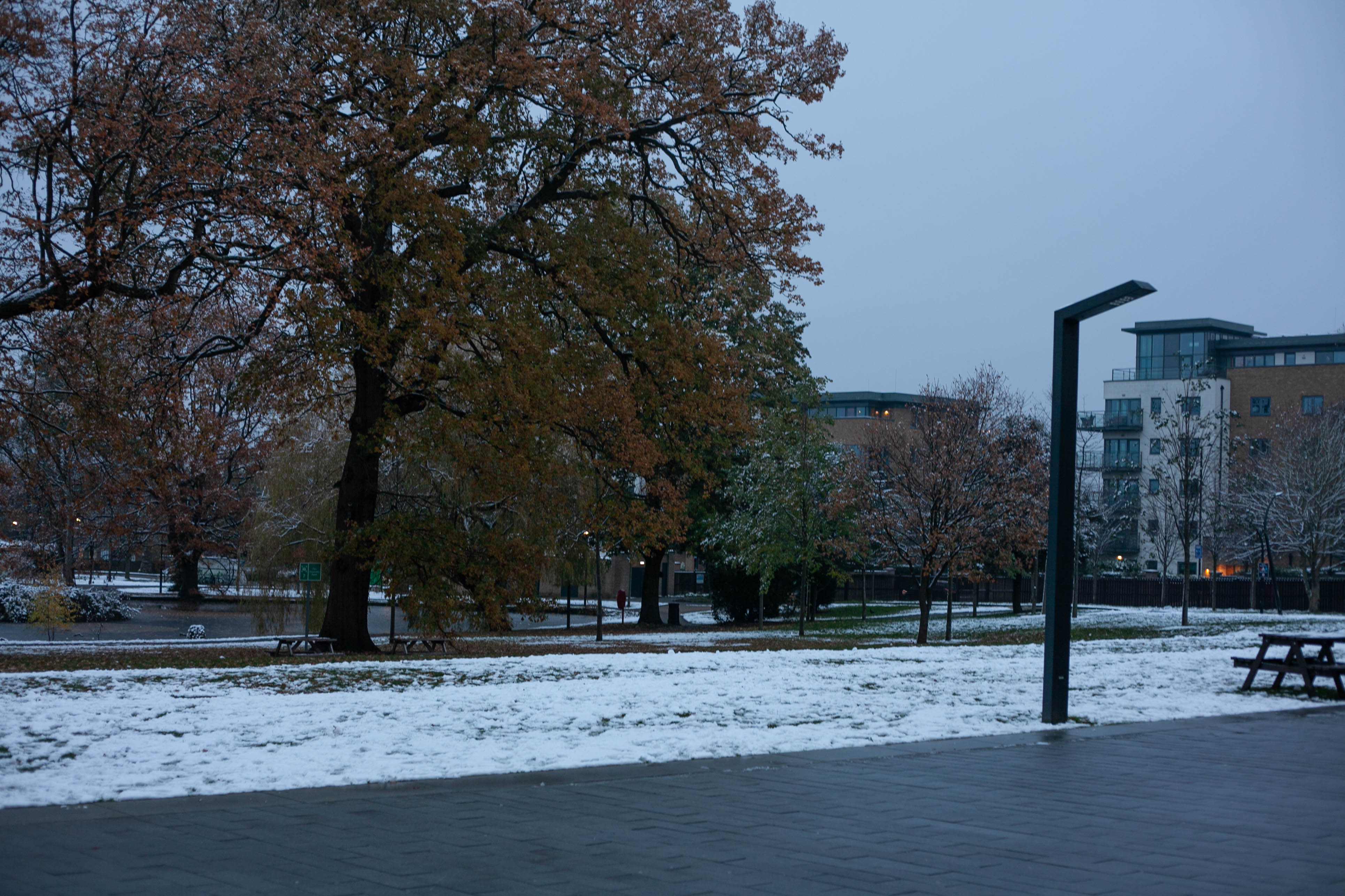 Snow in Roehampton 105