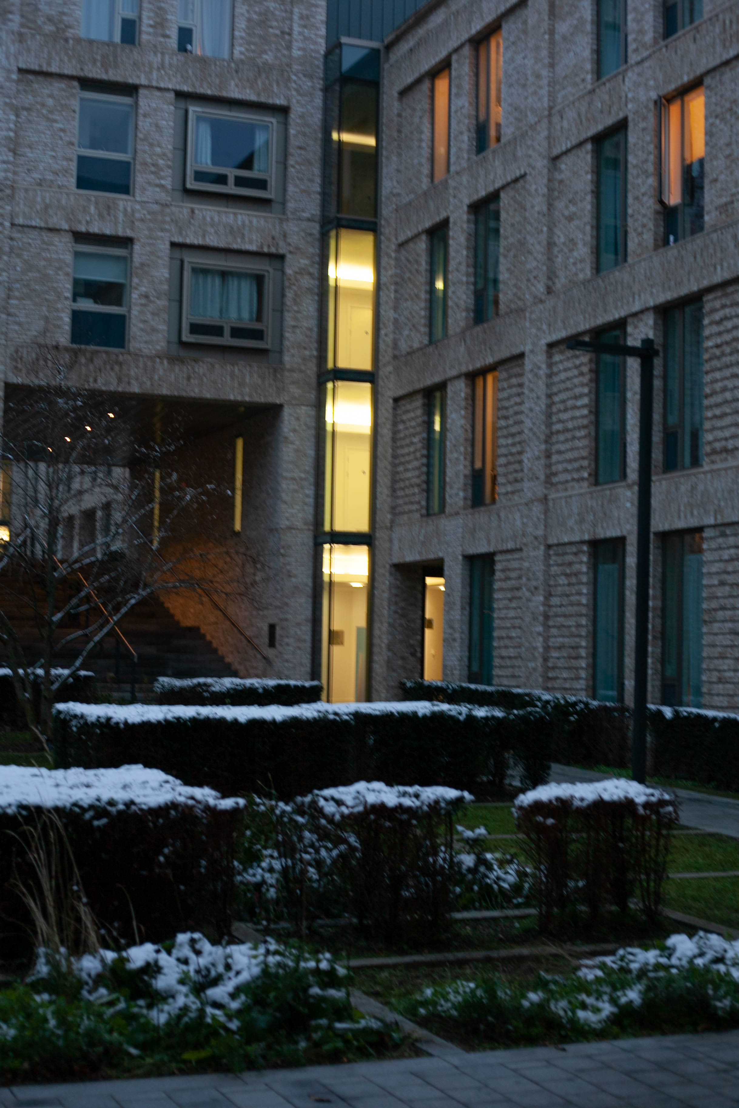 Snow in Roehampton 106
