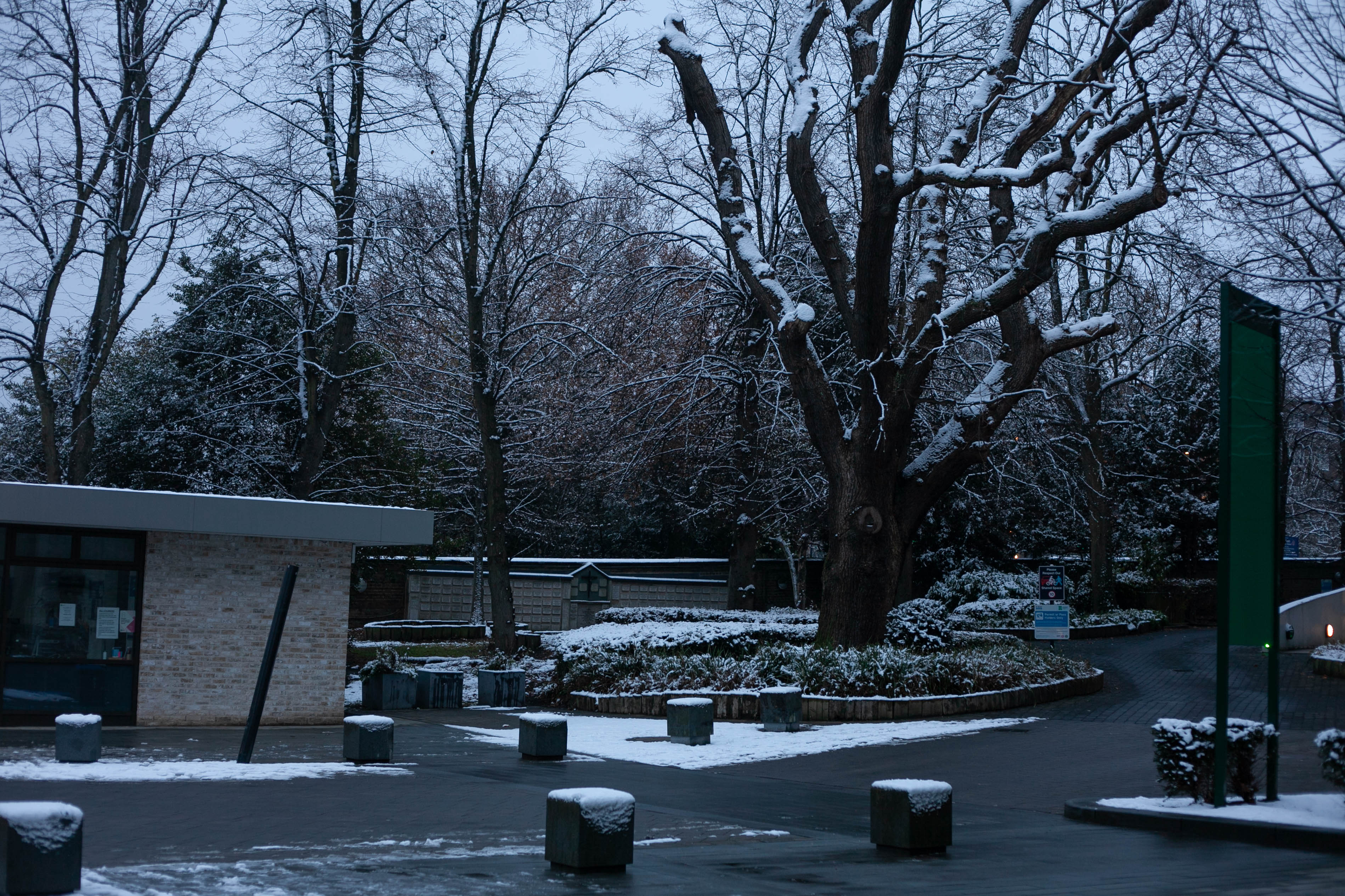 Snow in Roehampton 108