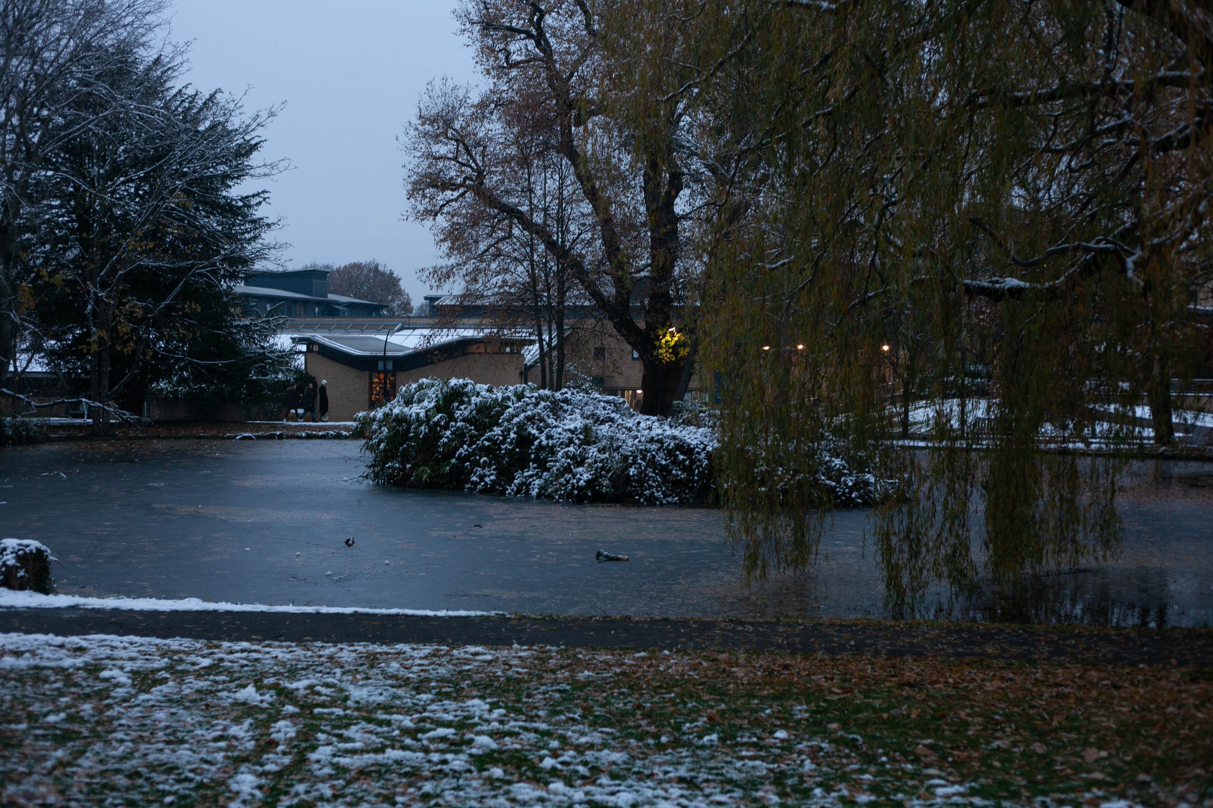 Snow in Roehampton 111