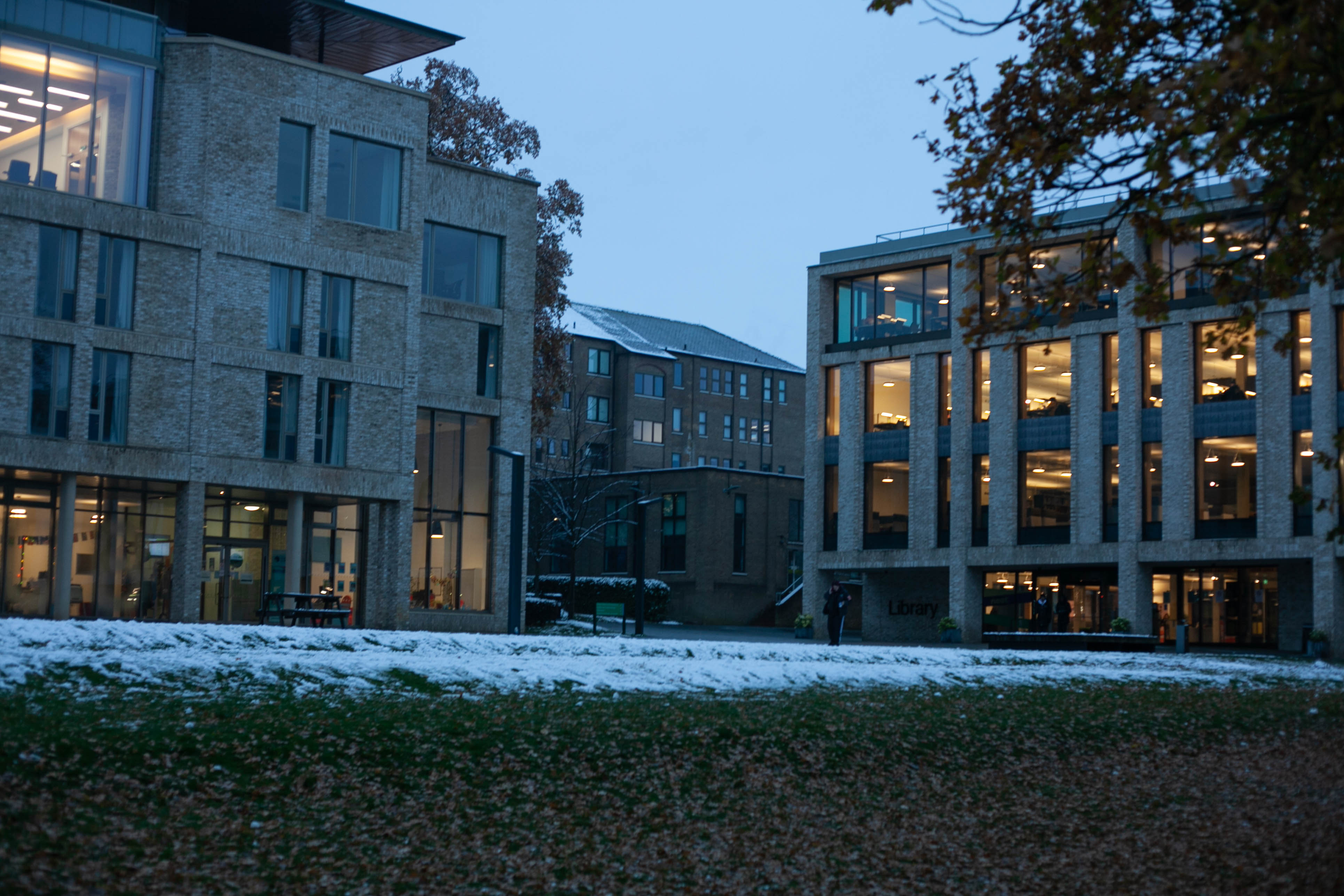 Snow in Roehampton 113