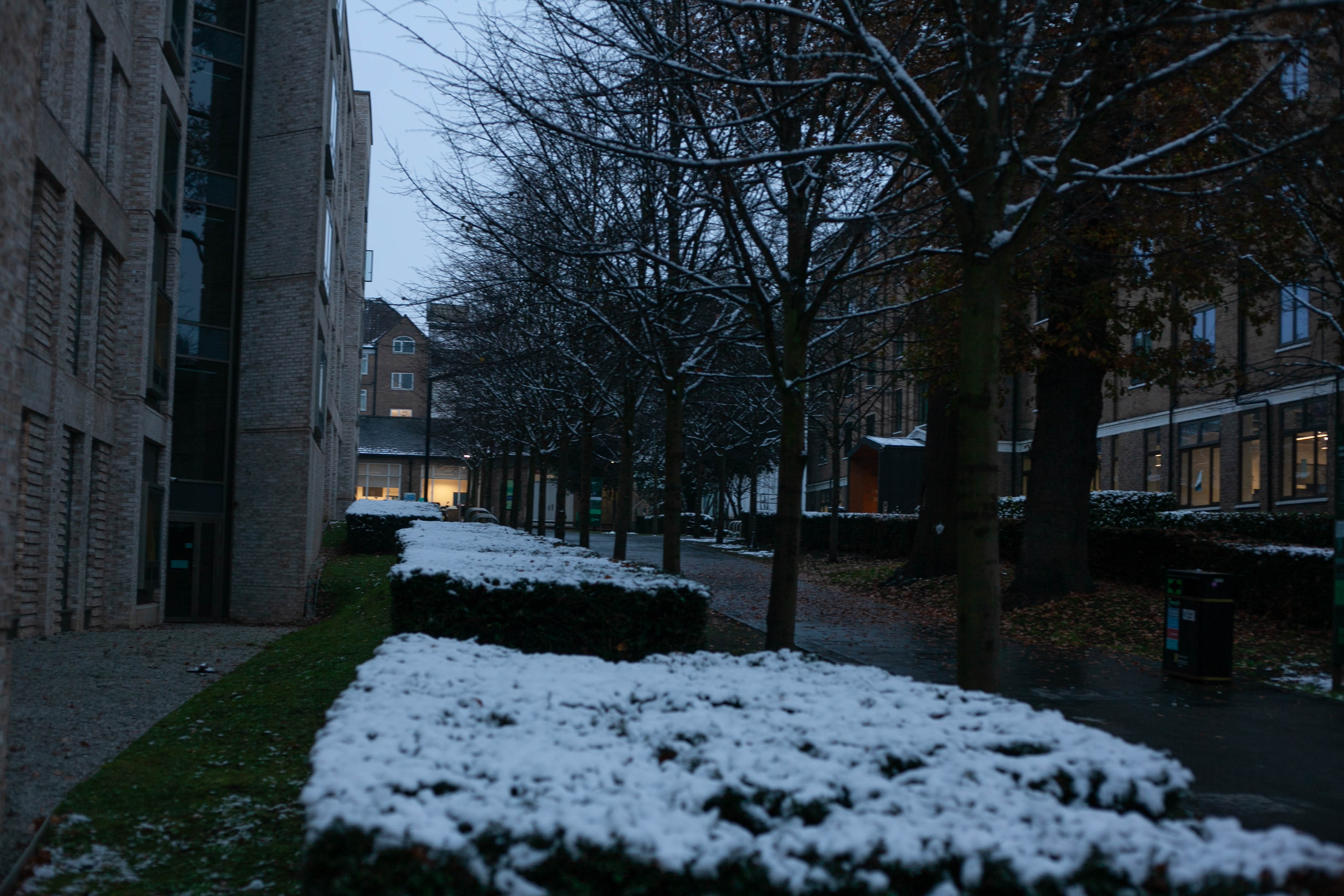 Snow in Roehampton 115