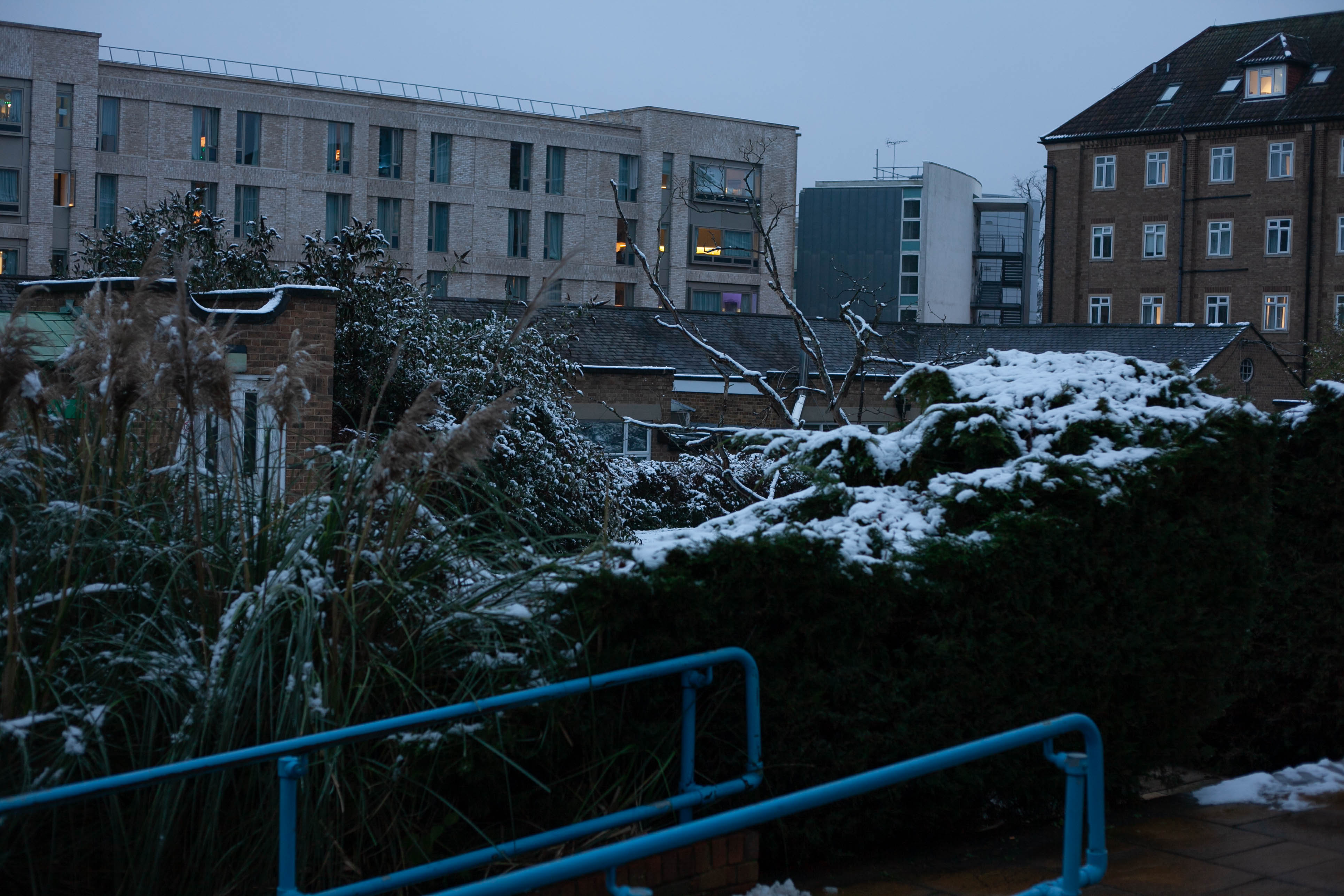 Snow in Roehampton 118