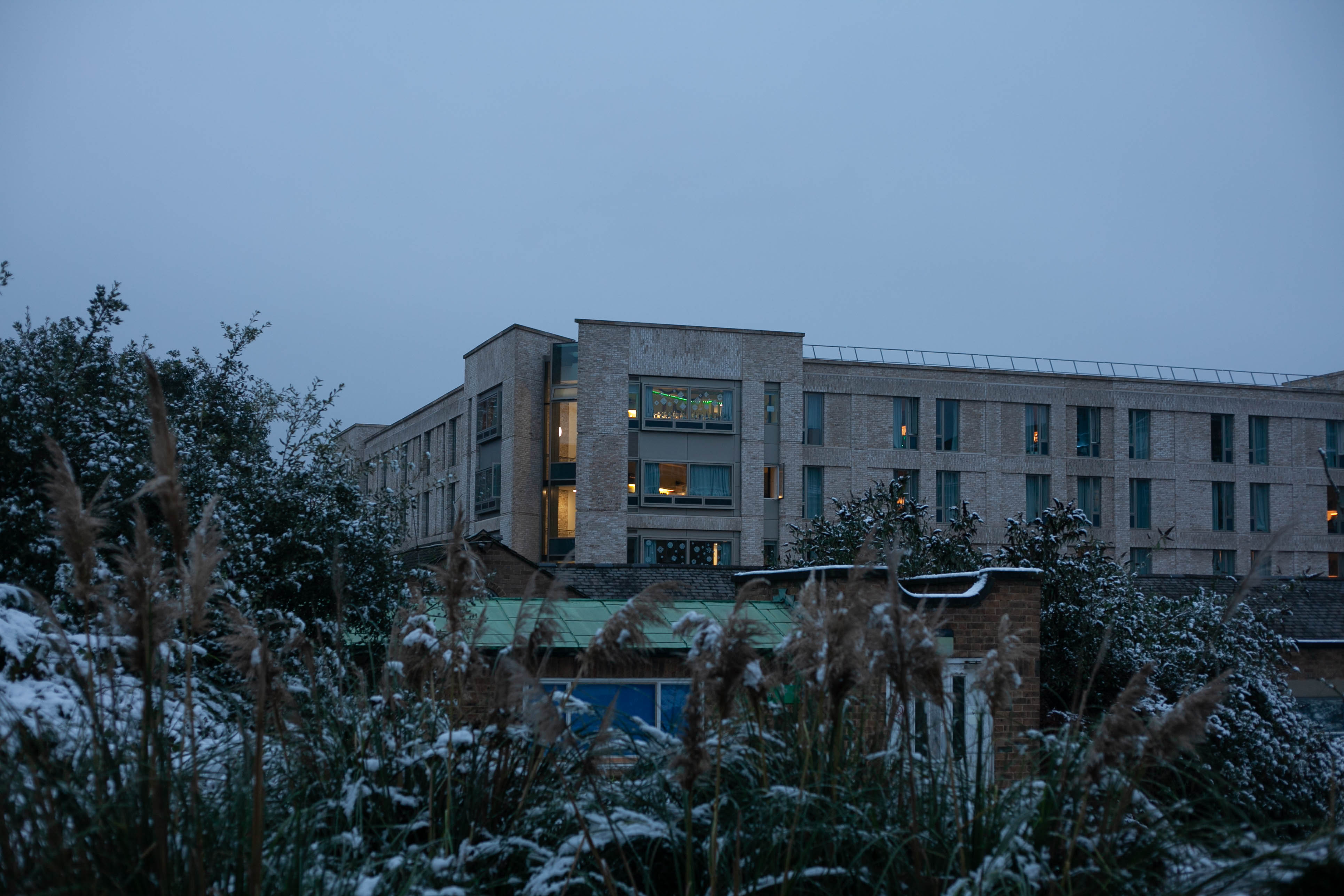 Snow in Roehampton 119
