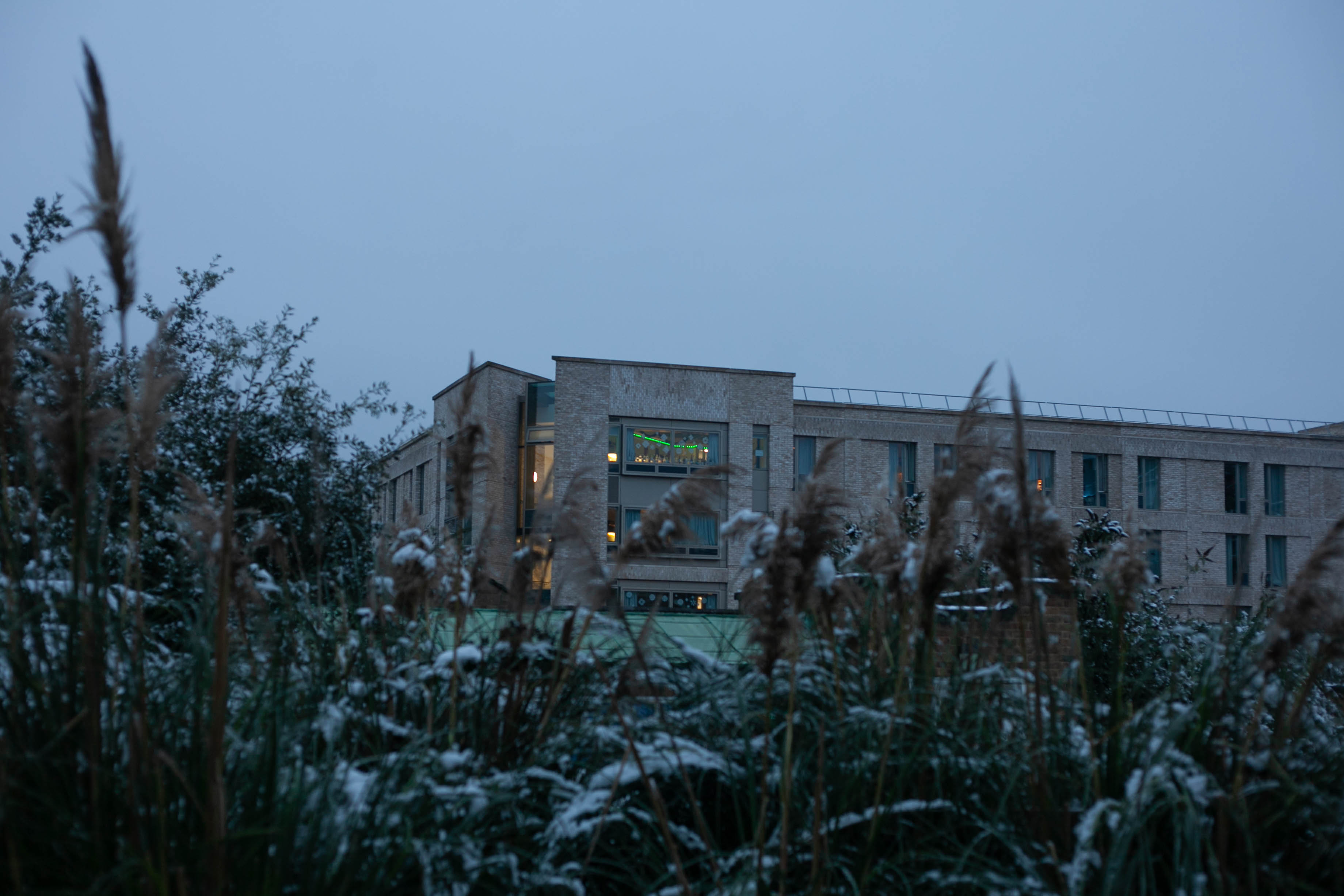 Snow in Roehampton 120