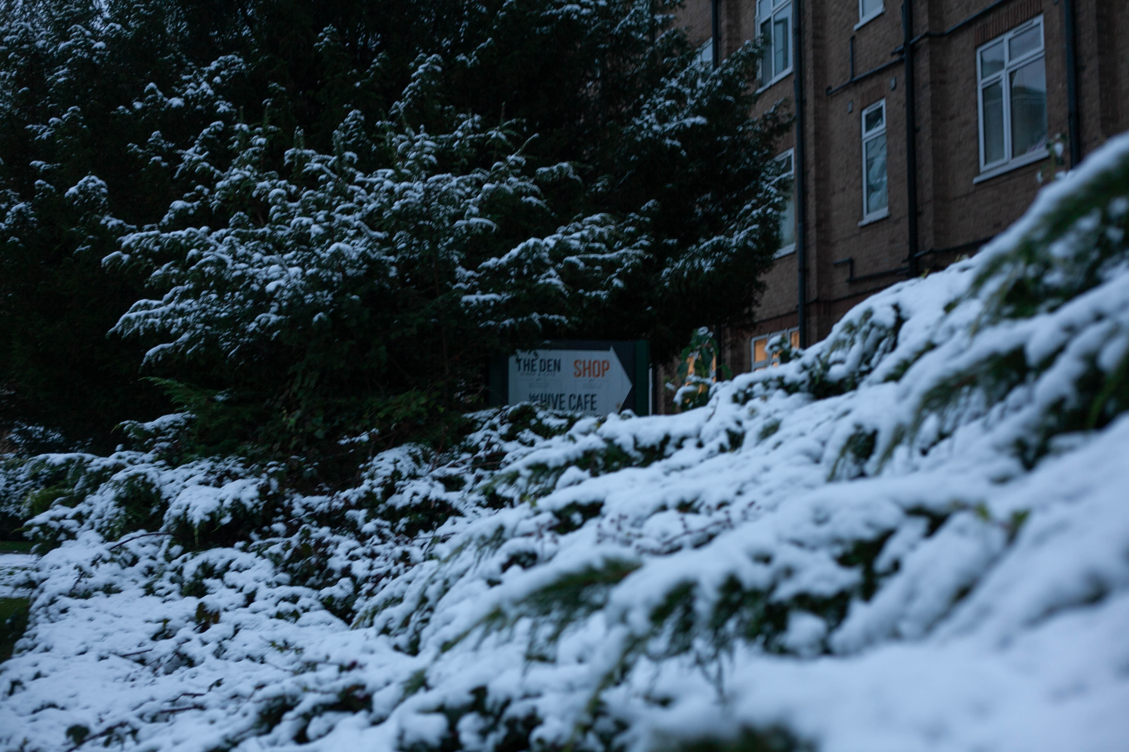 Snow in Roehampton 122