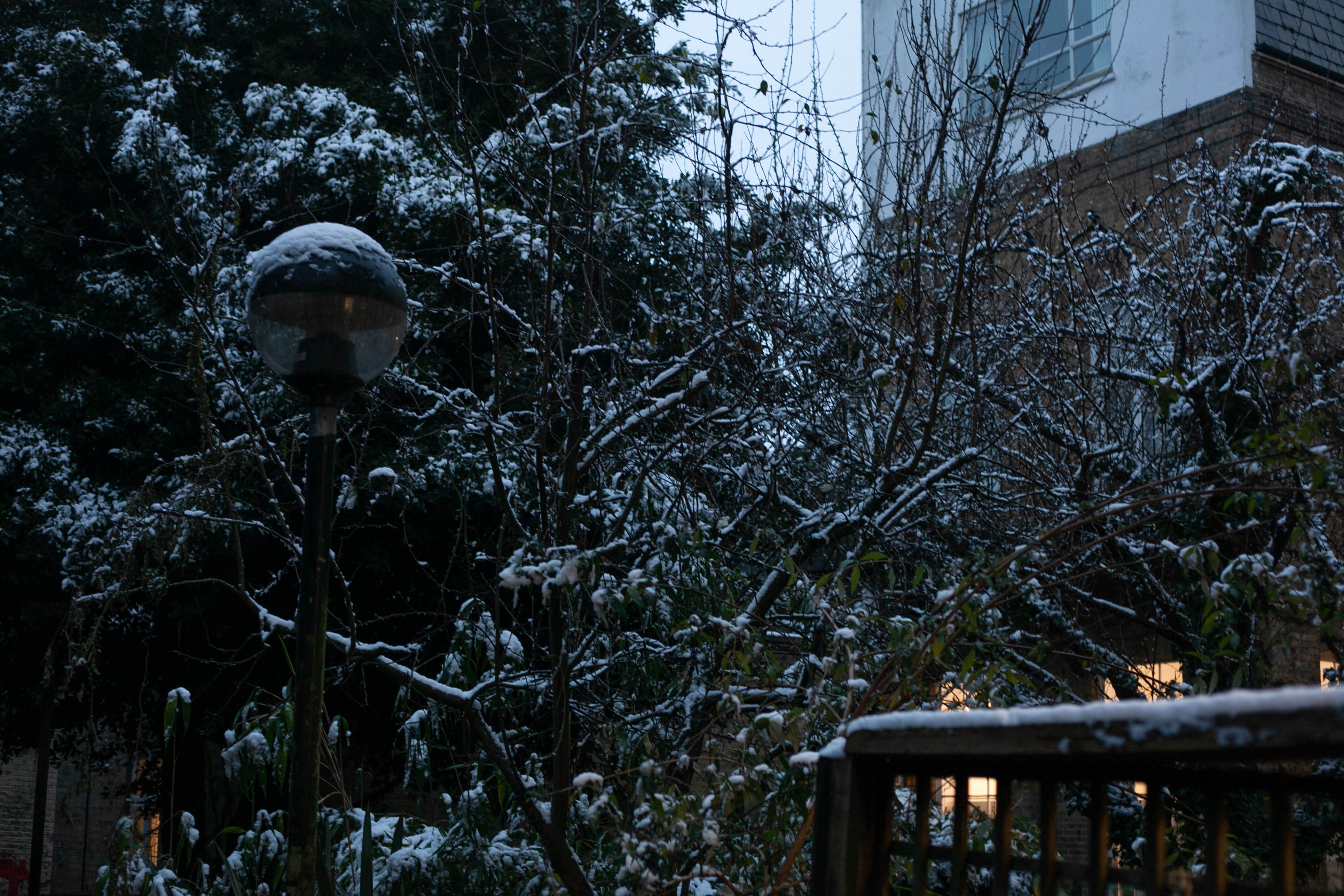 Snow in Roehampton 129