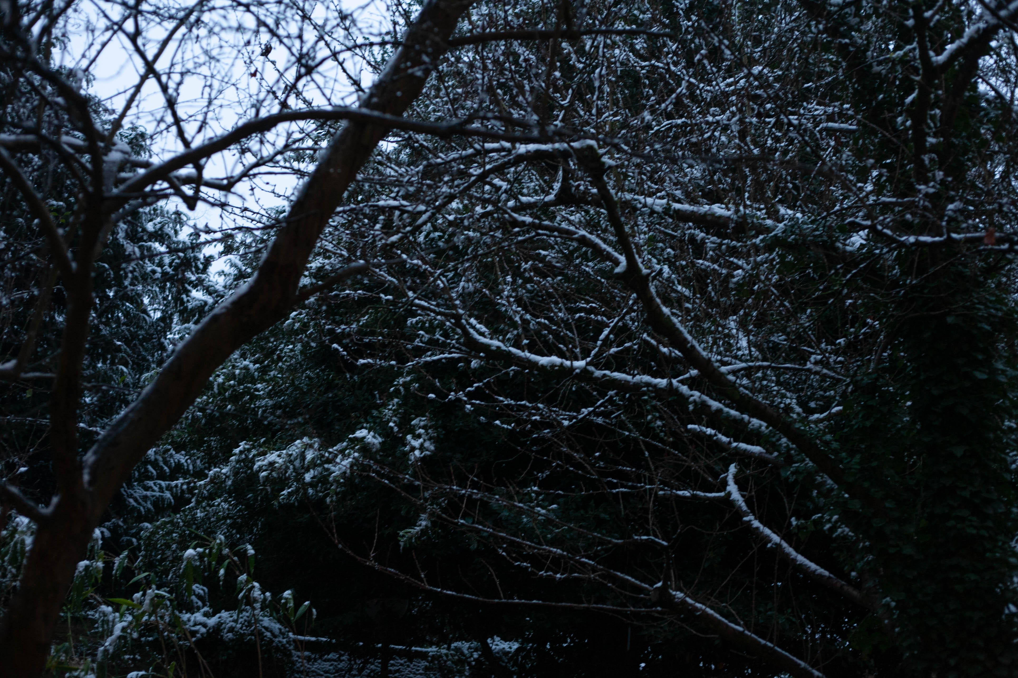 Snow in Roehampton 131