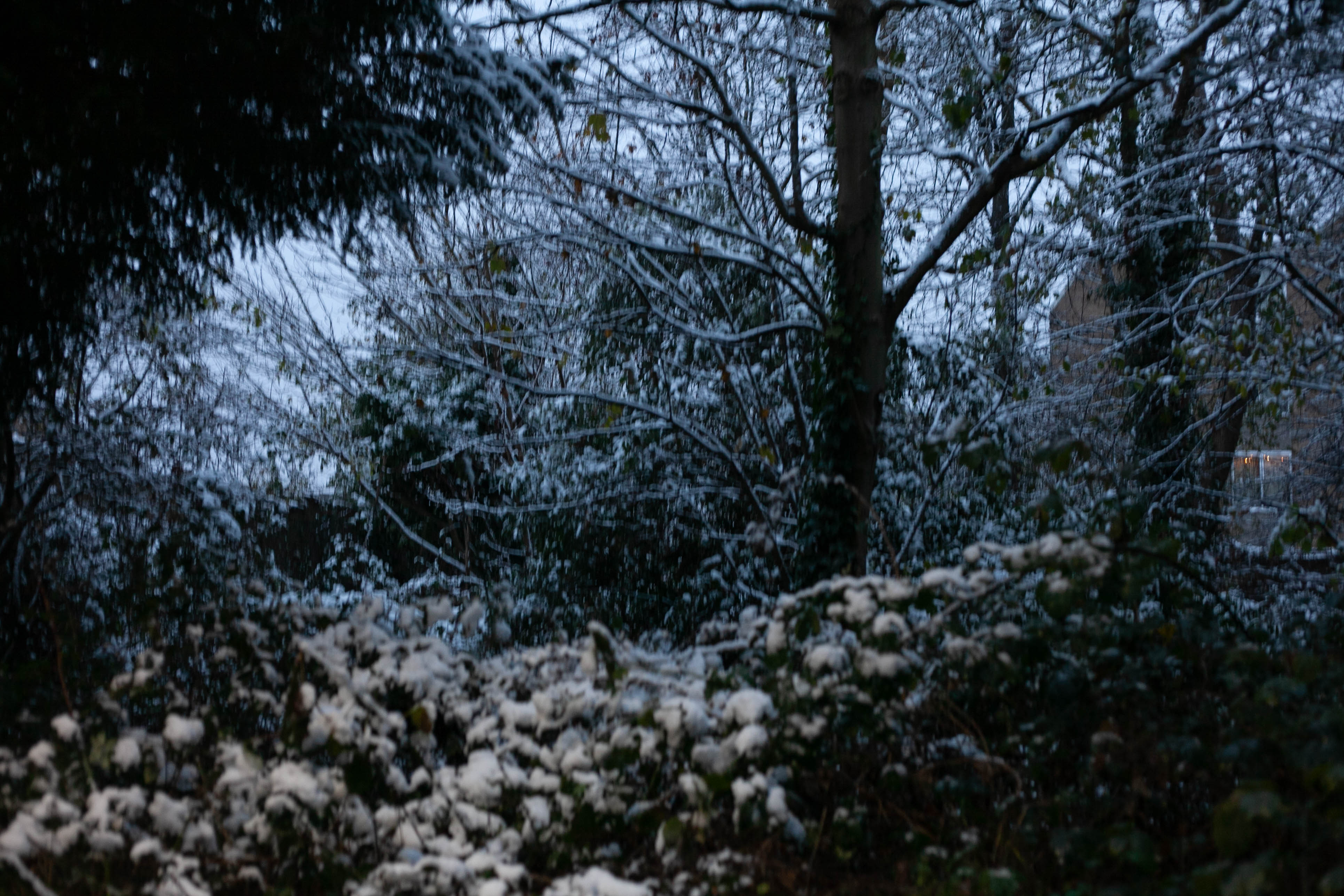 Snow in Roehampton 134