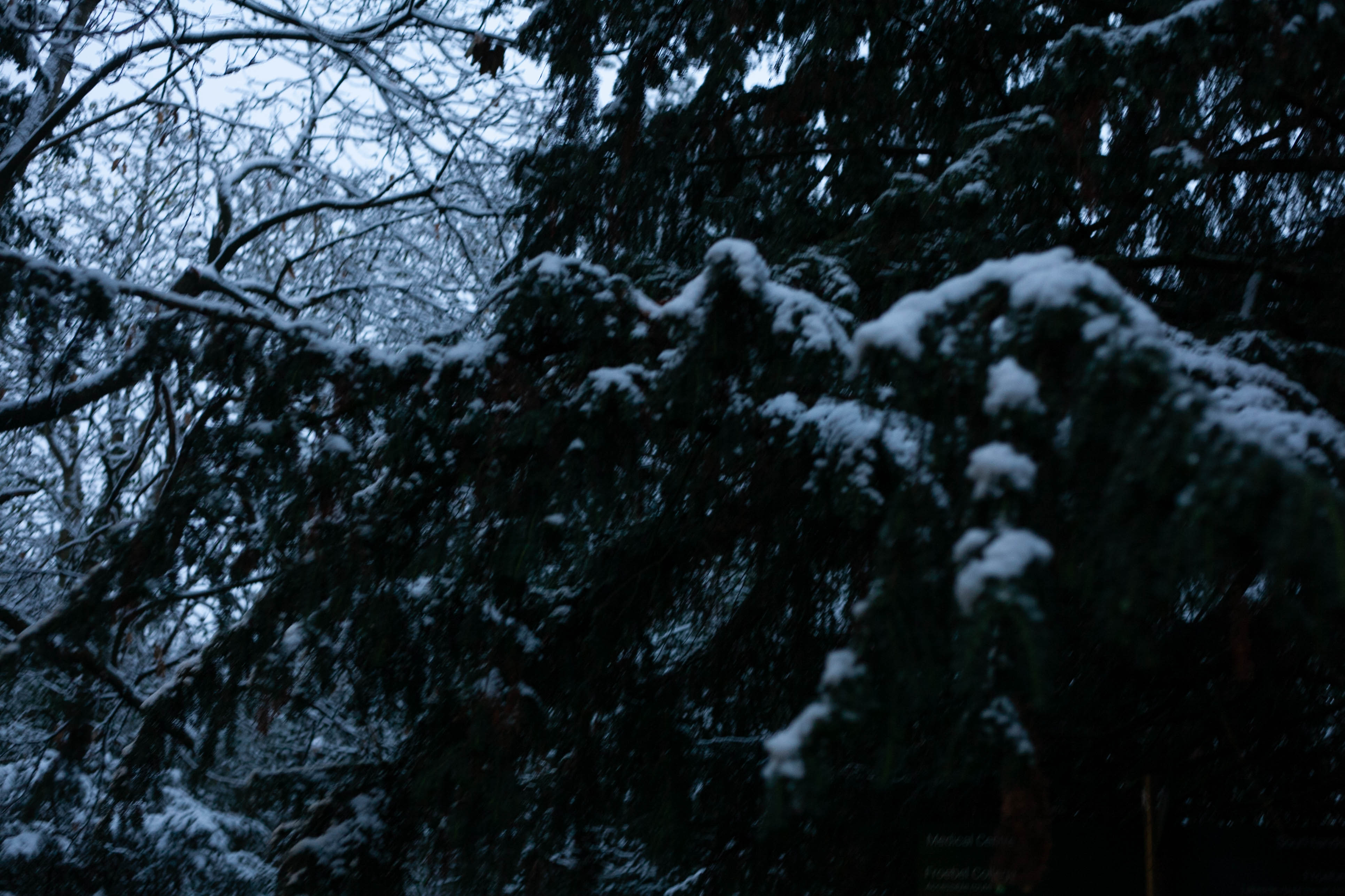 Snow in Roehampton 135