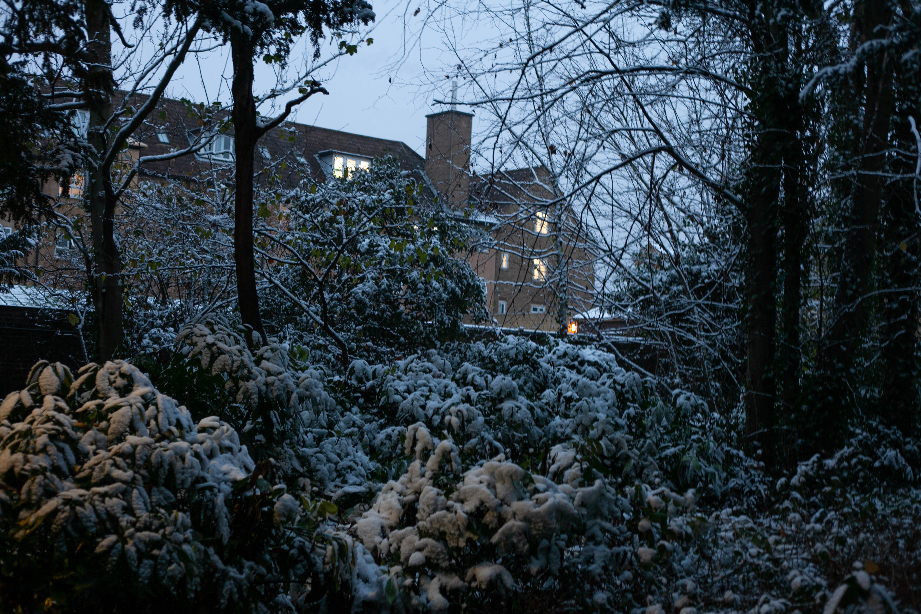 Snow in Roehampton 141