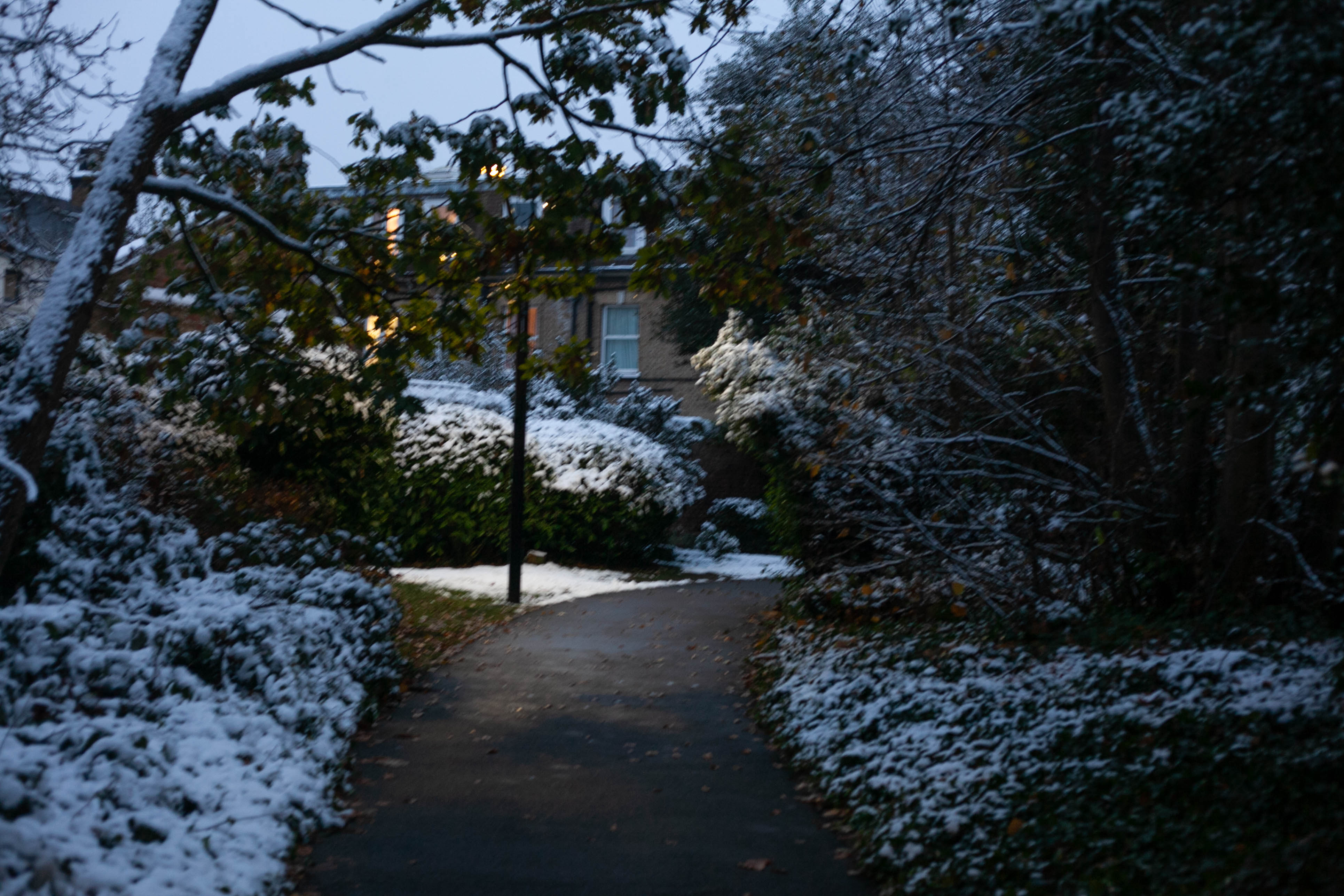 Snow in Roehampton 142