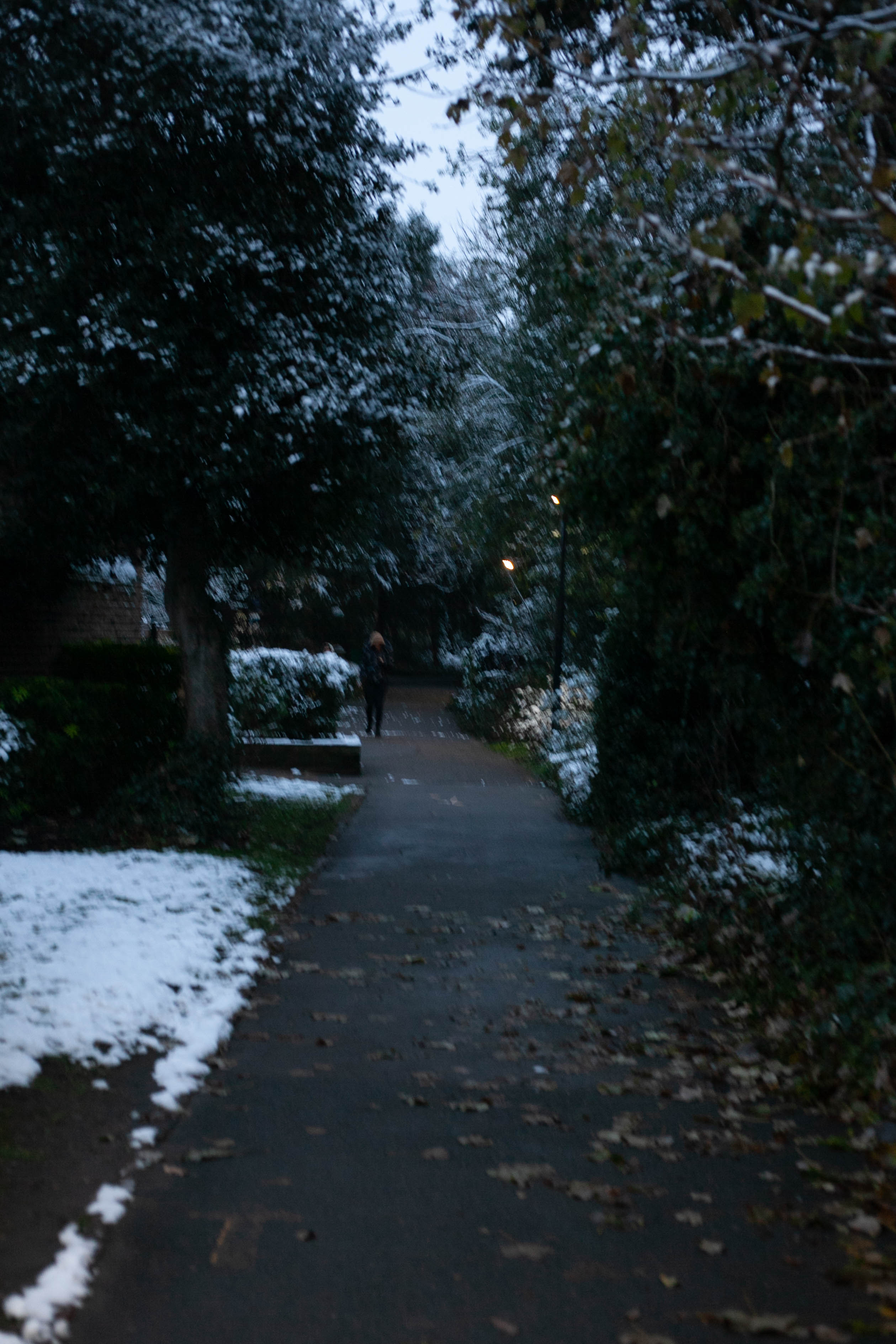 Snow in Roehampton 144