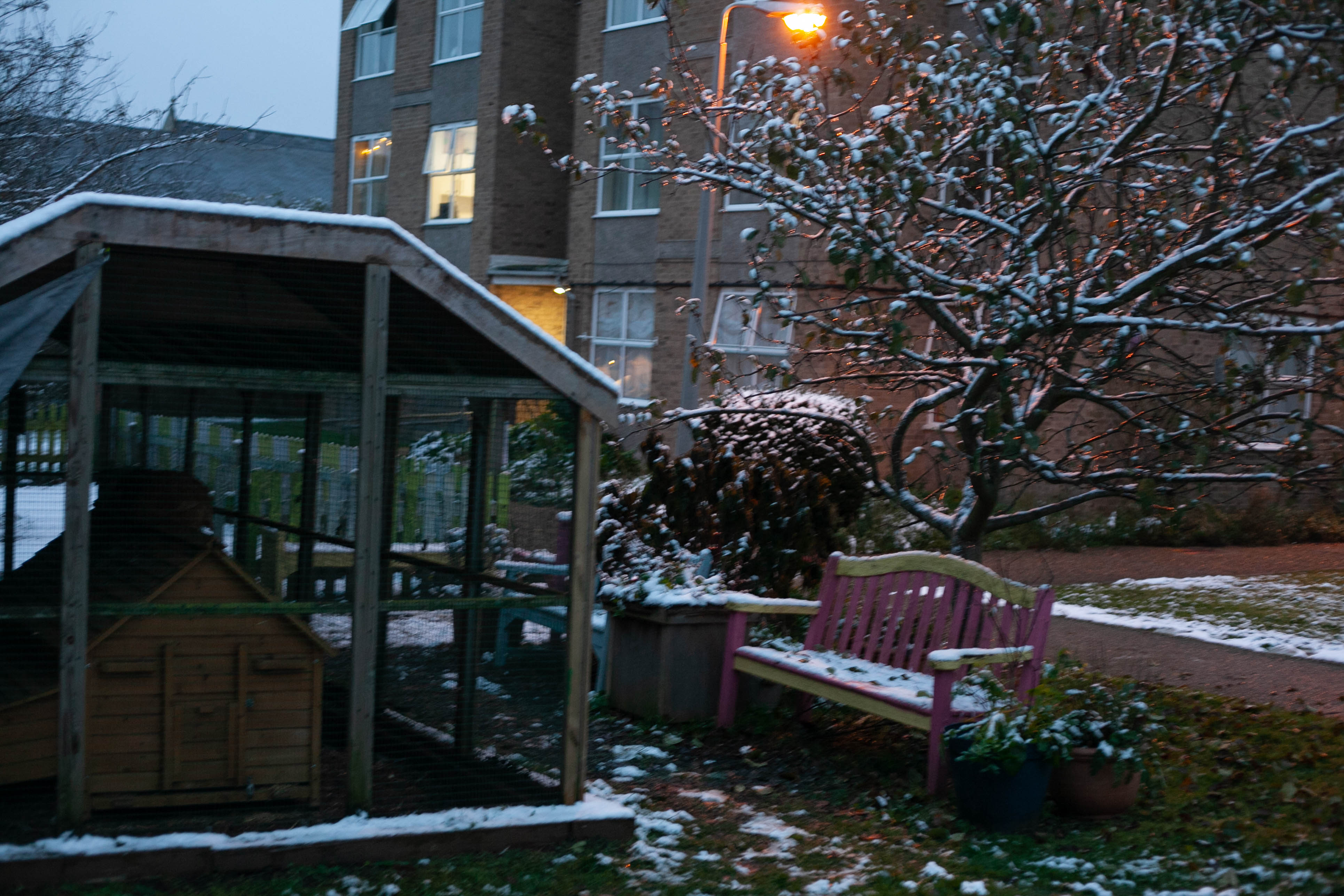 Snow in Roehampton 145