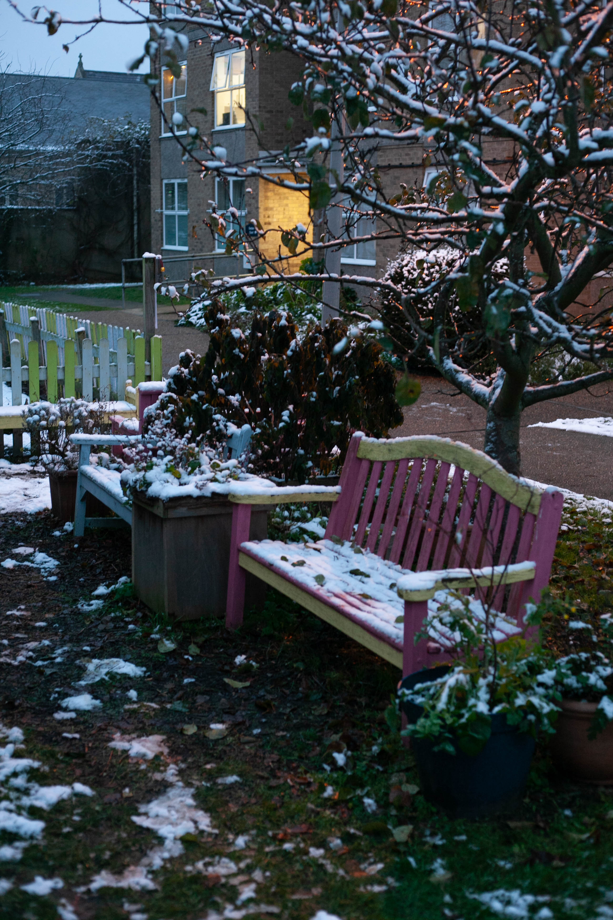 Snow in Roehampton 147