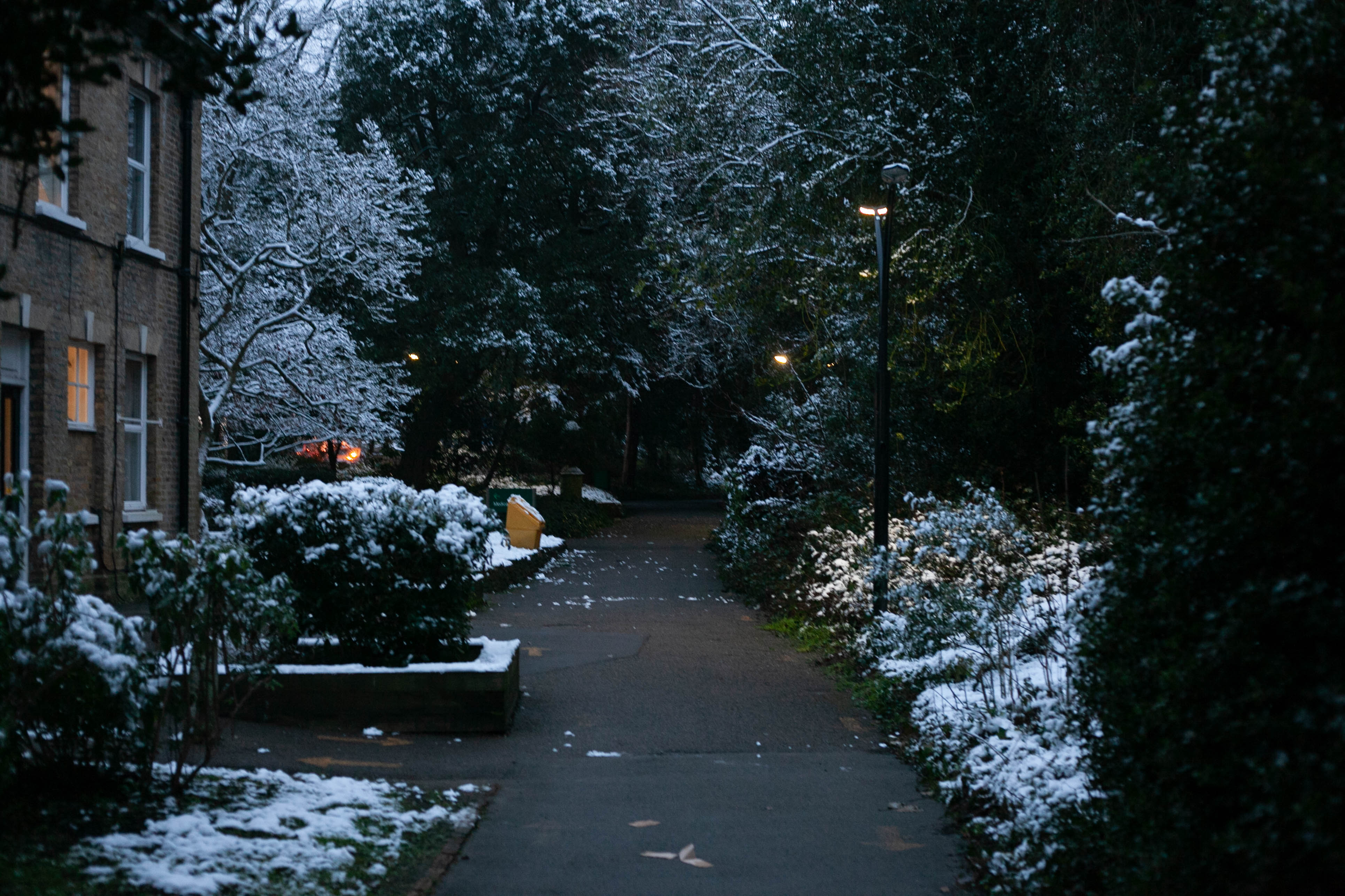 Snow in Roehampton 148