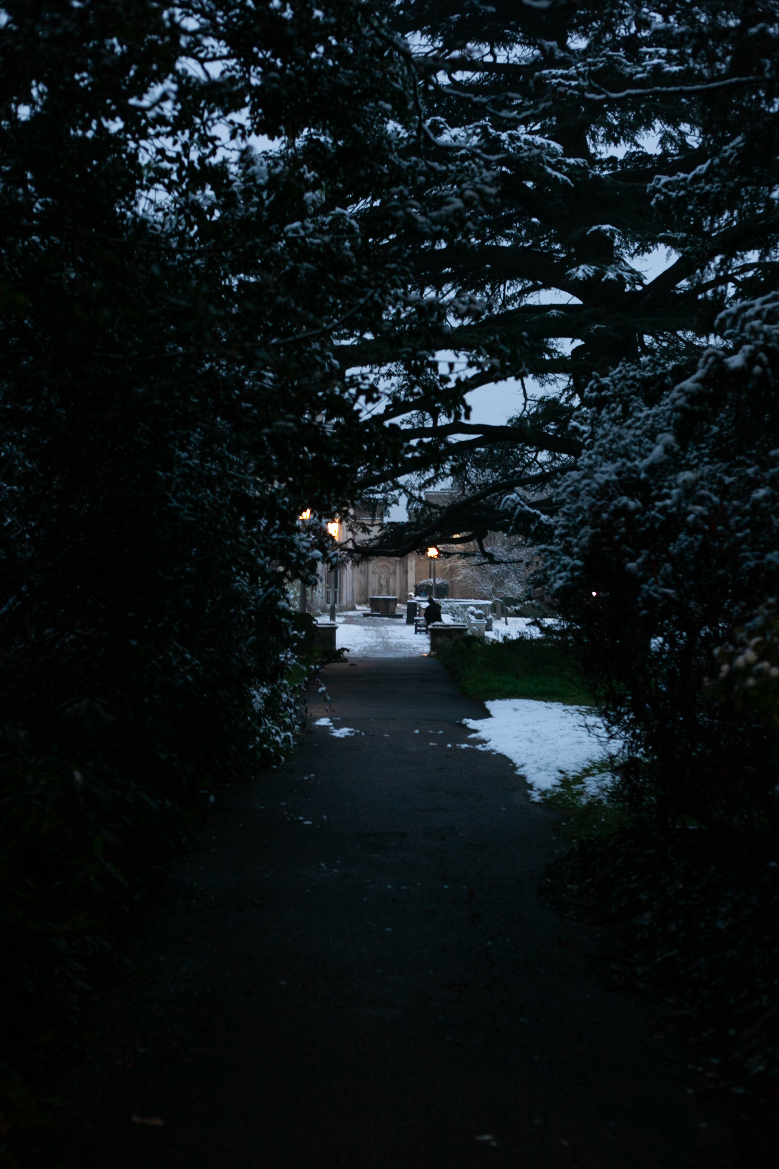 Snow in Roehampton 151
