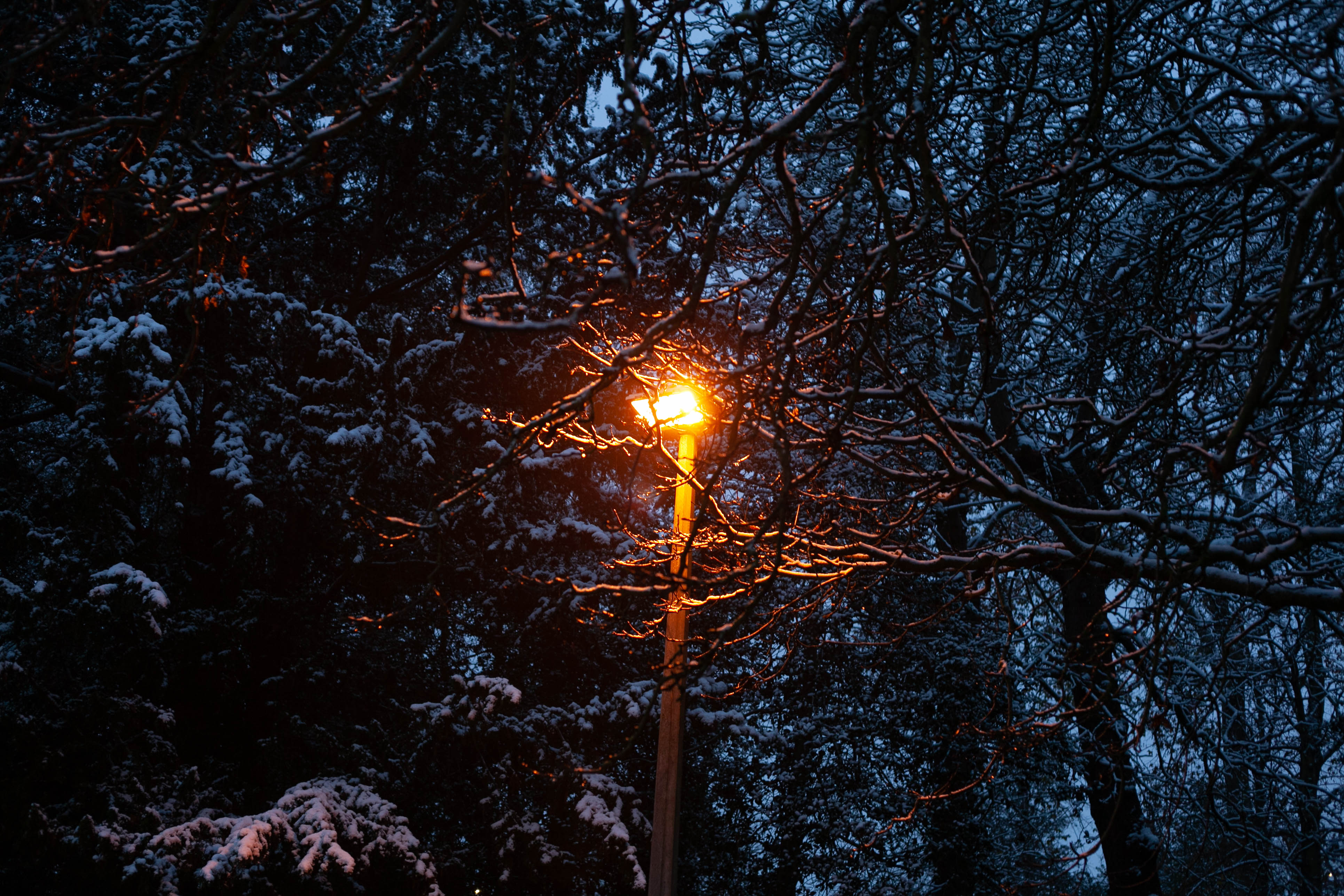 Snow in Roehampton 156