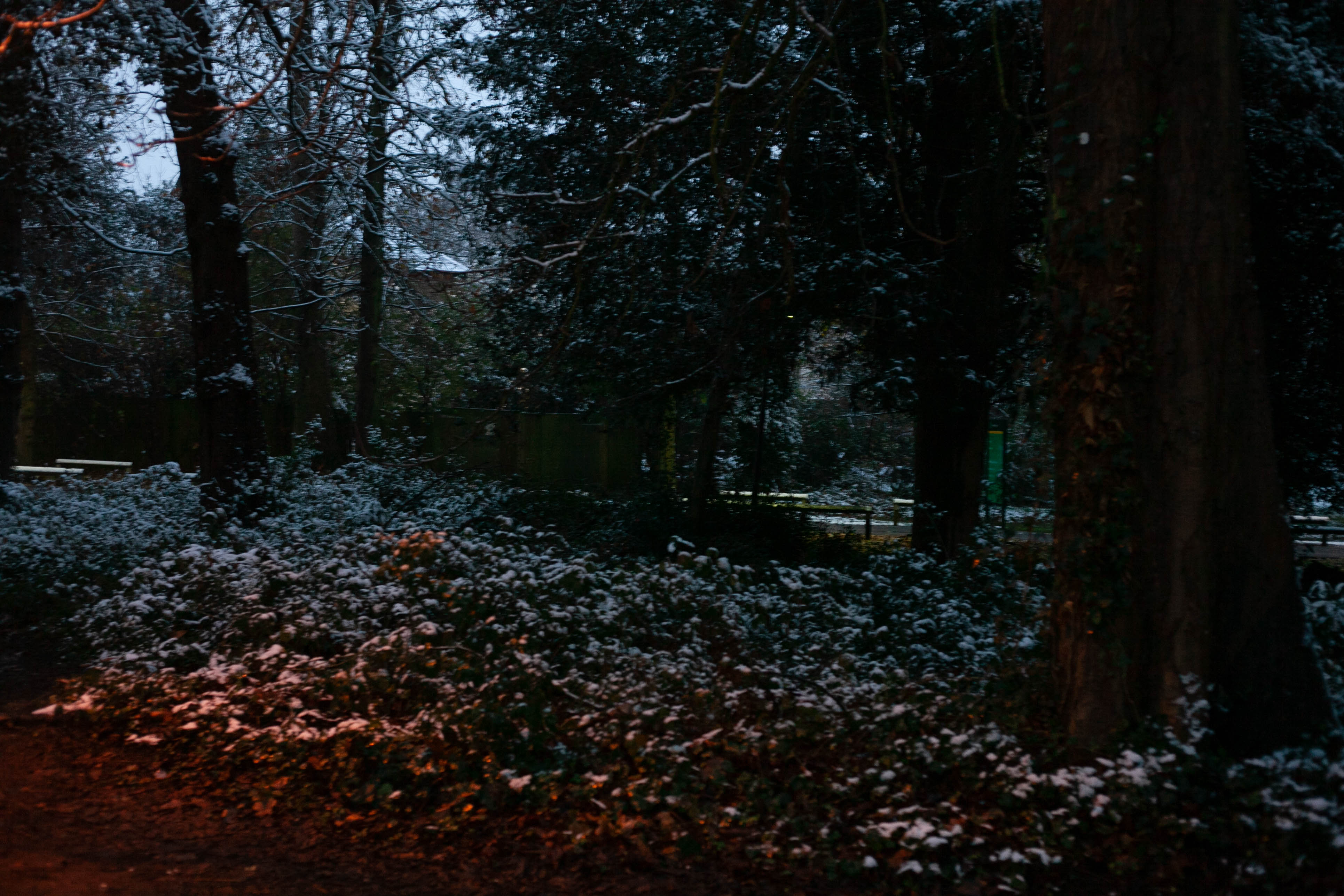 Snow in Roehampton 157