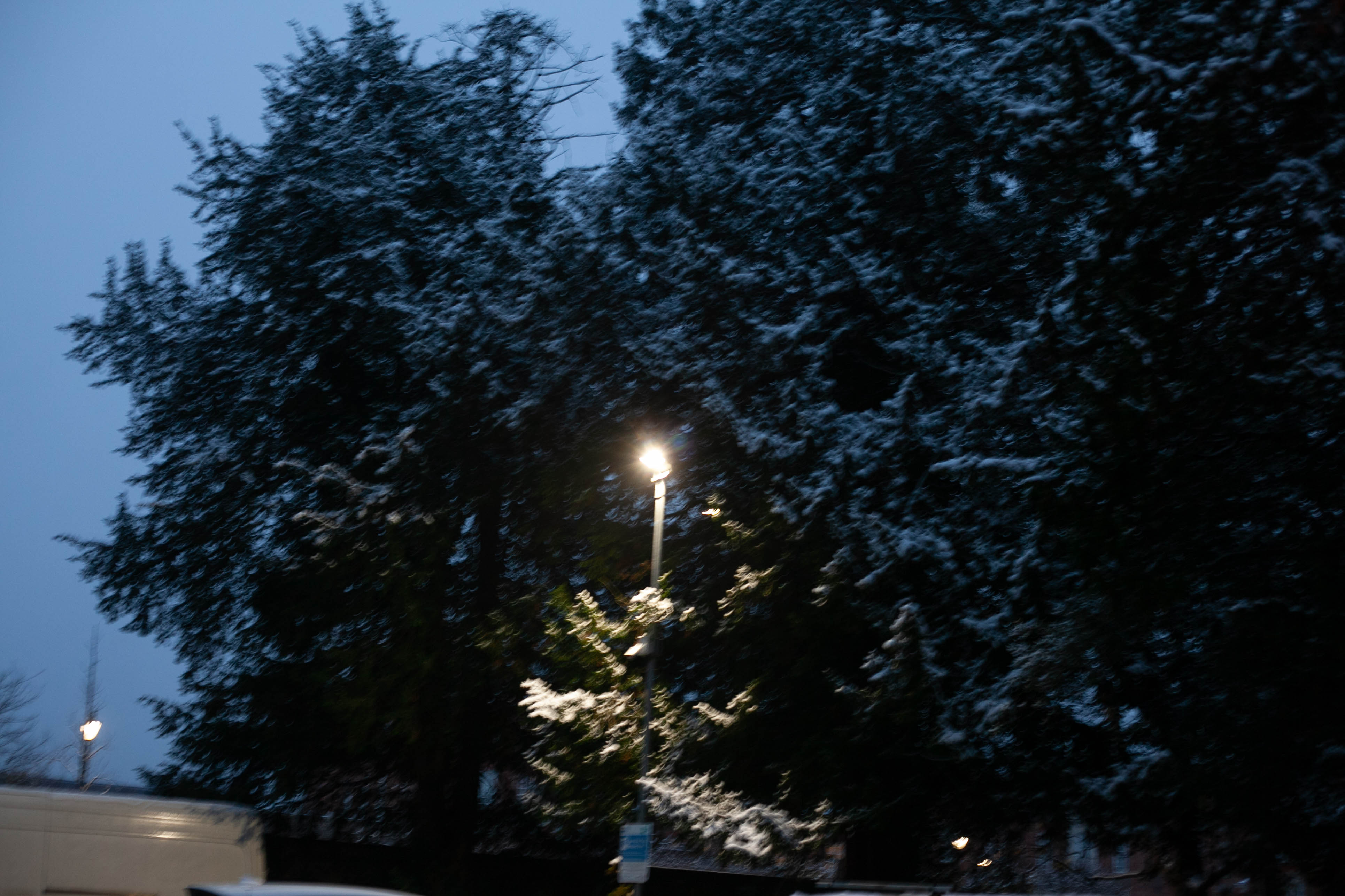 Snow in Roehampton 158