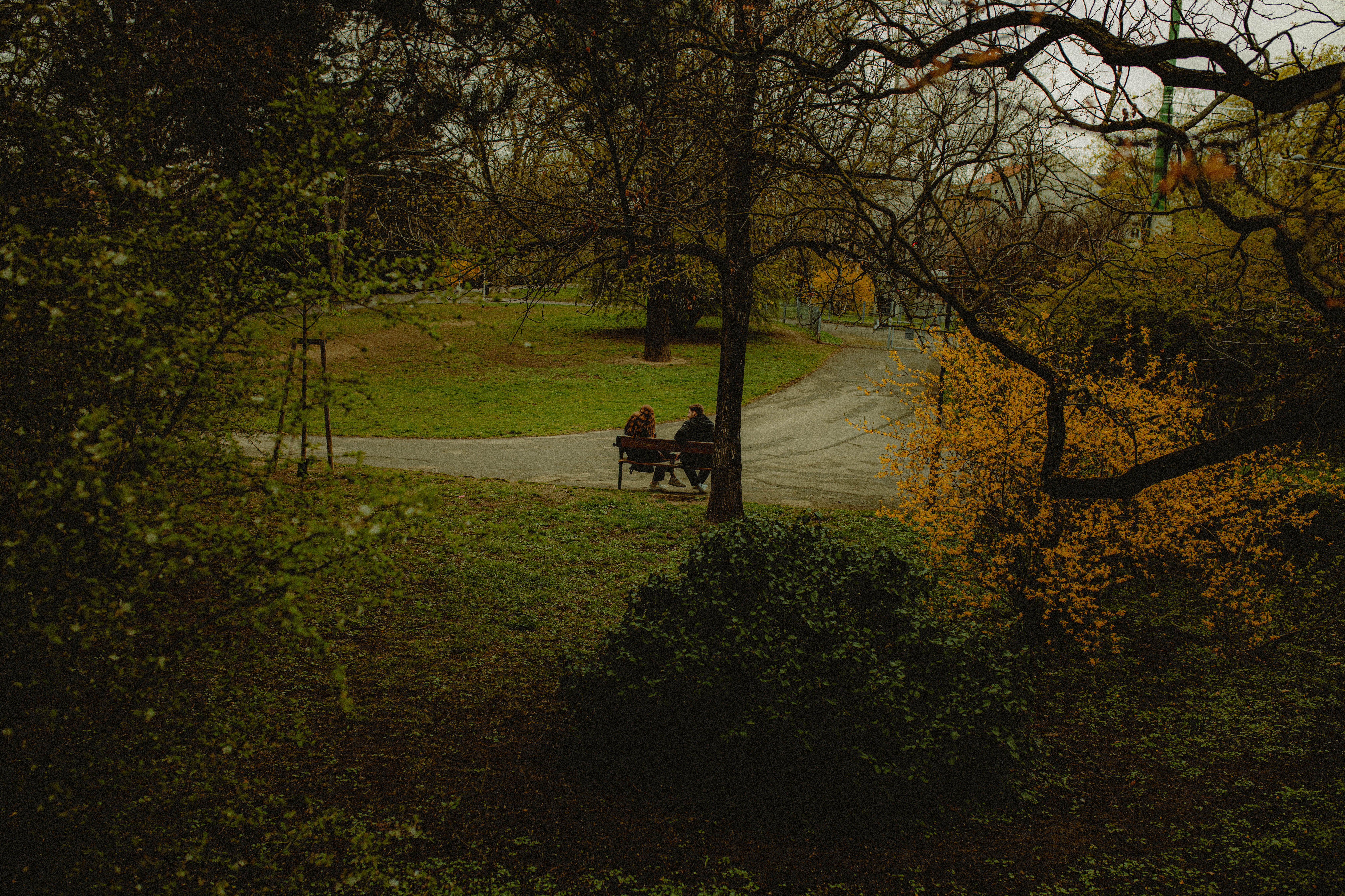 Vienna 478