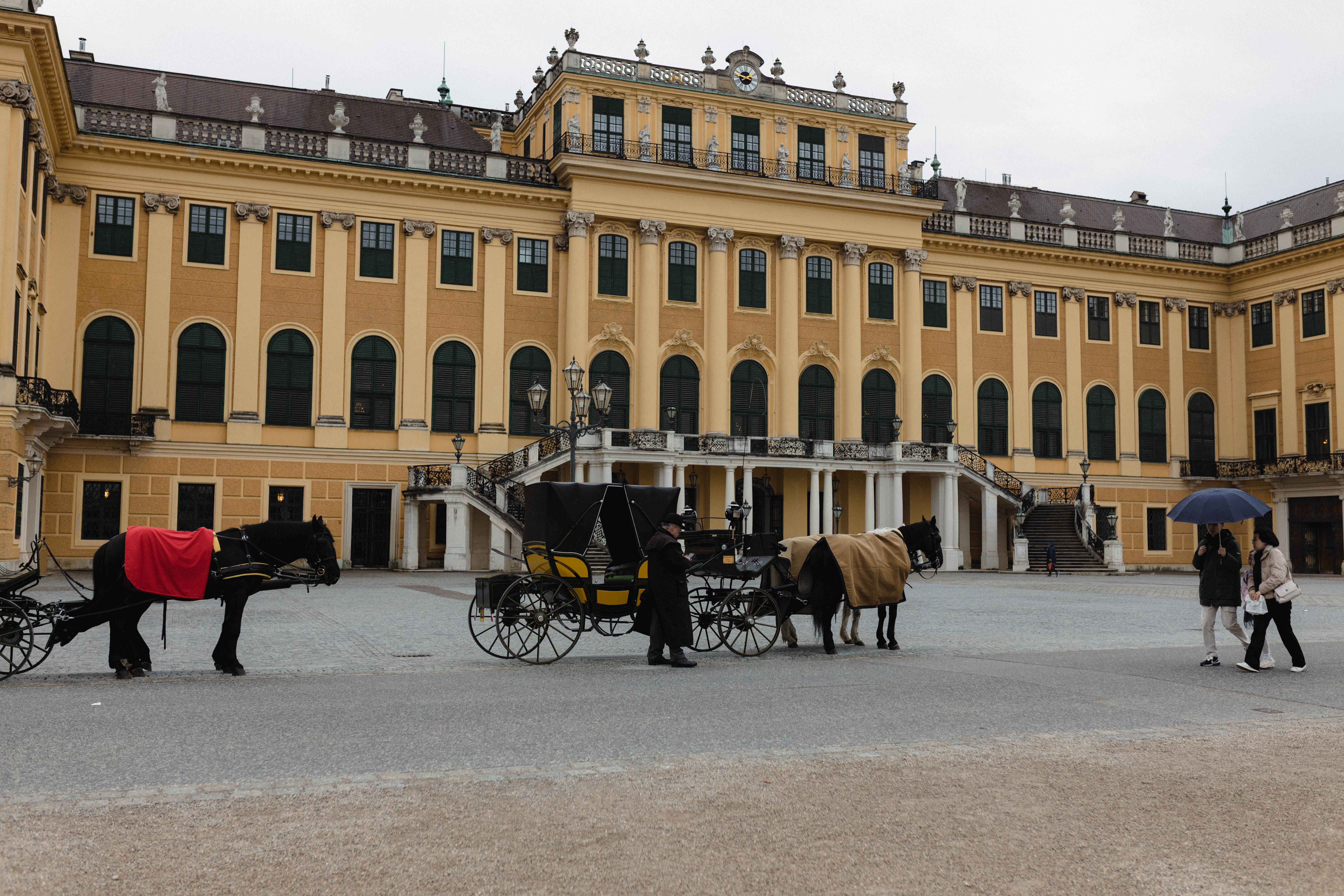 Vienna 493