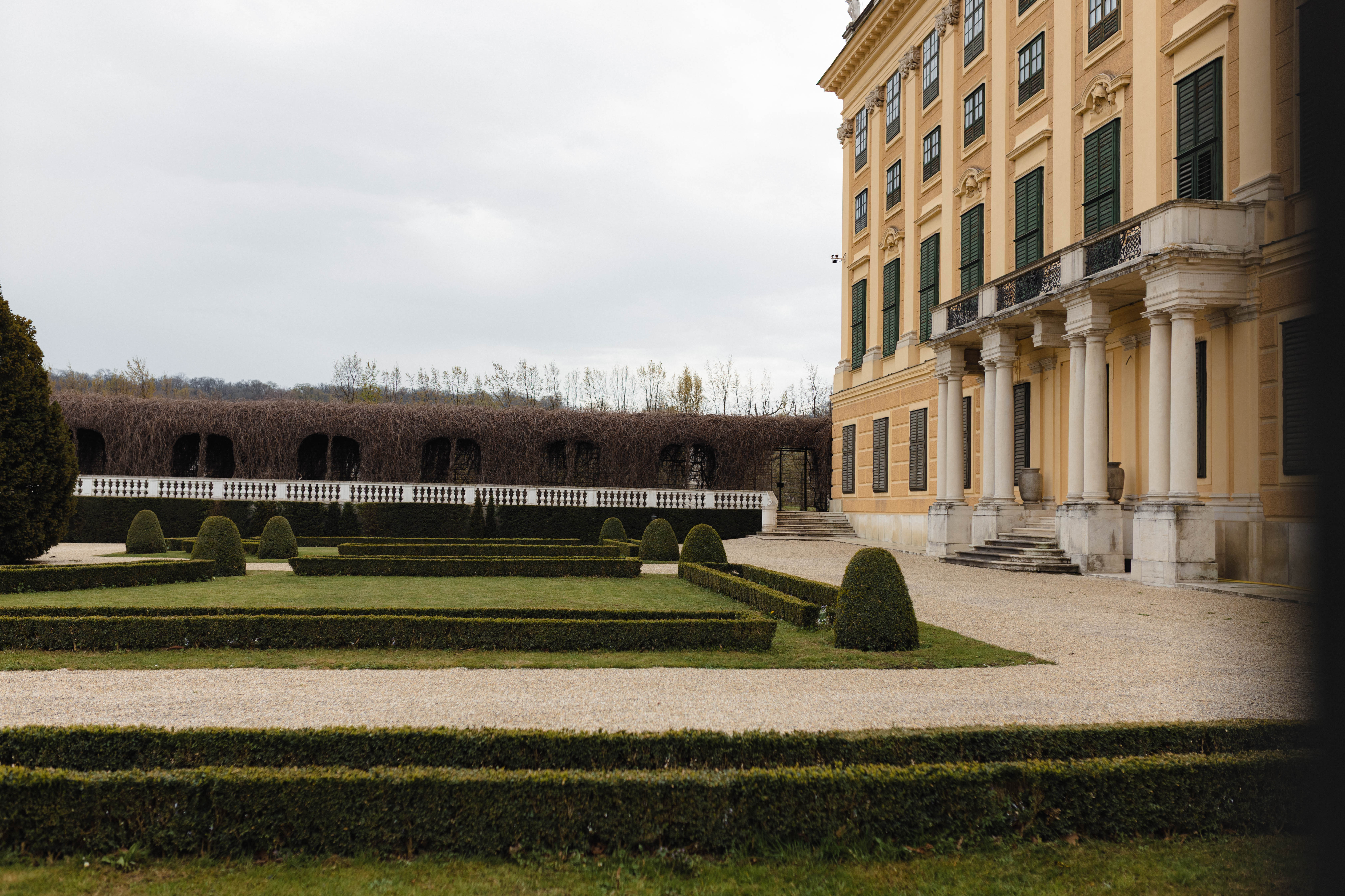 Vienna 504
