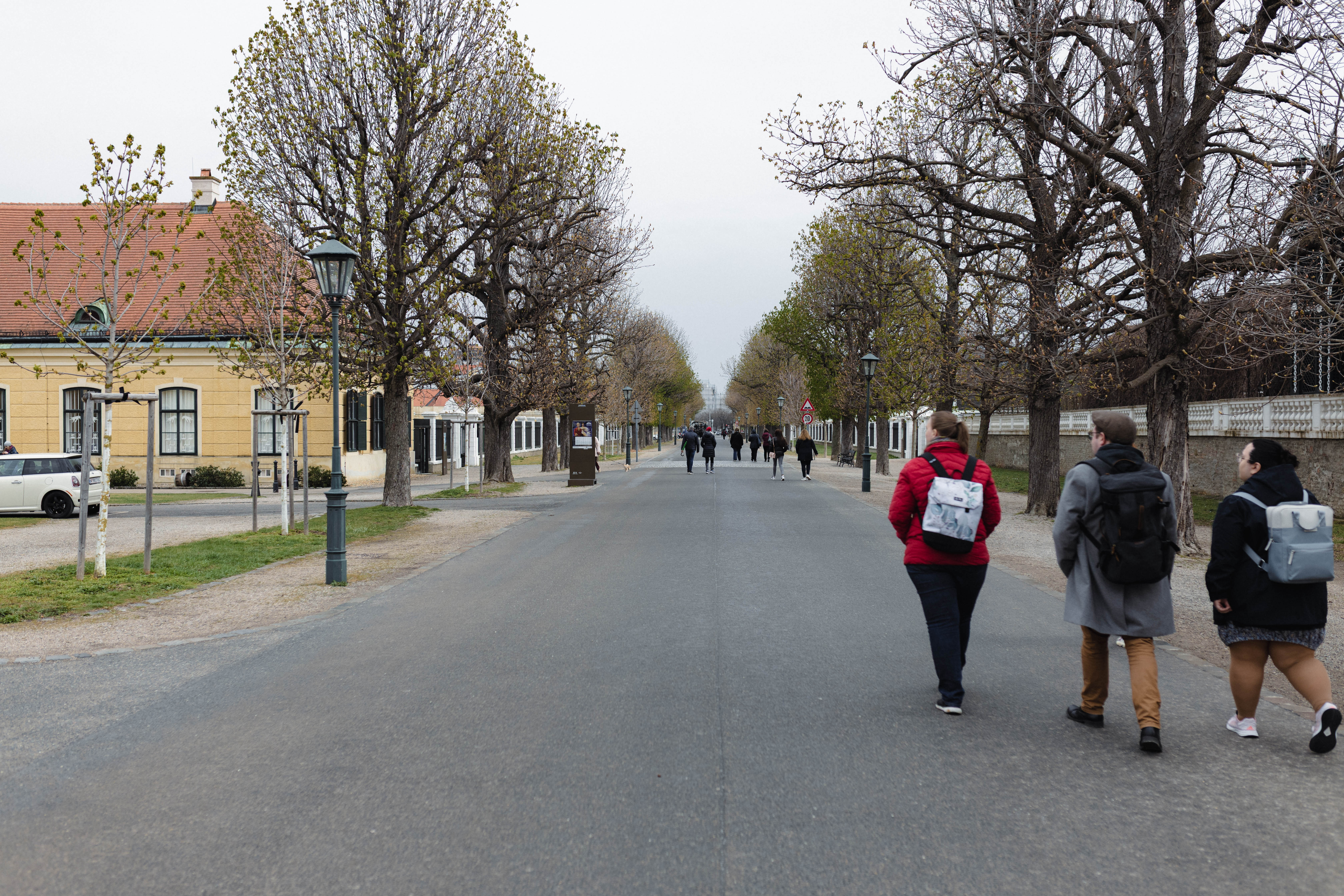 Vienna 506
