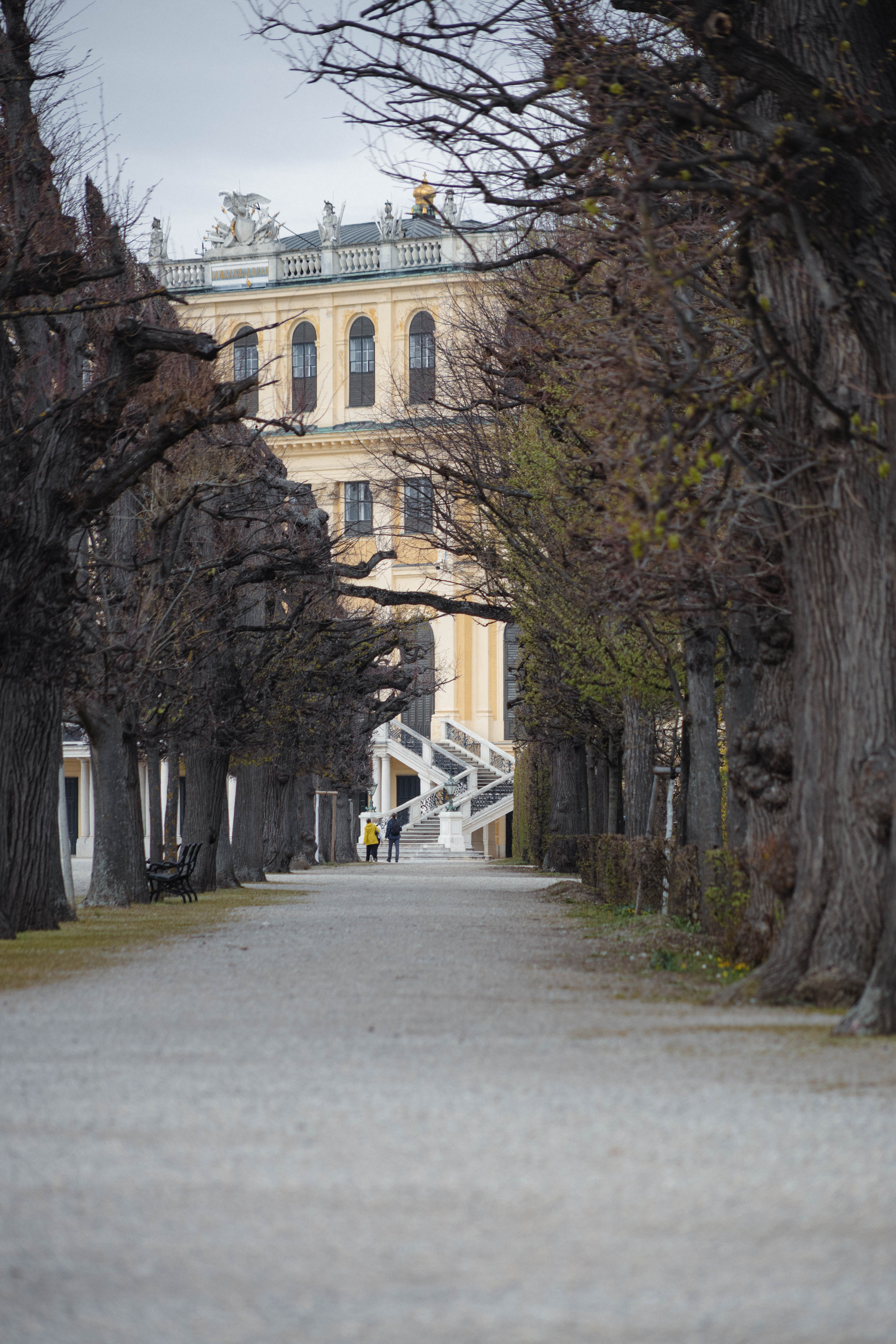 Vienna 523