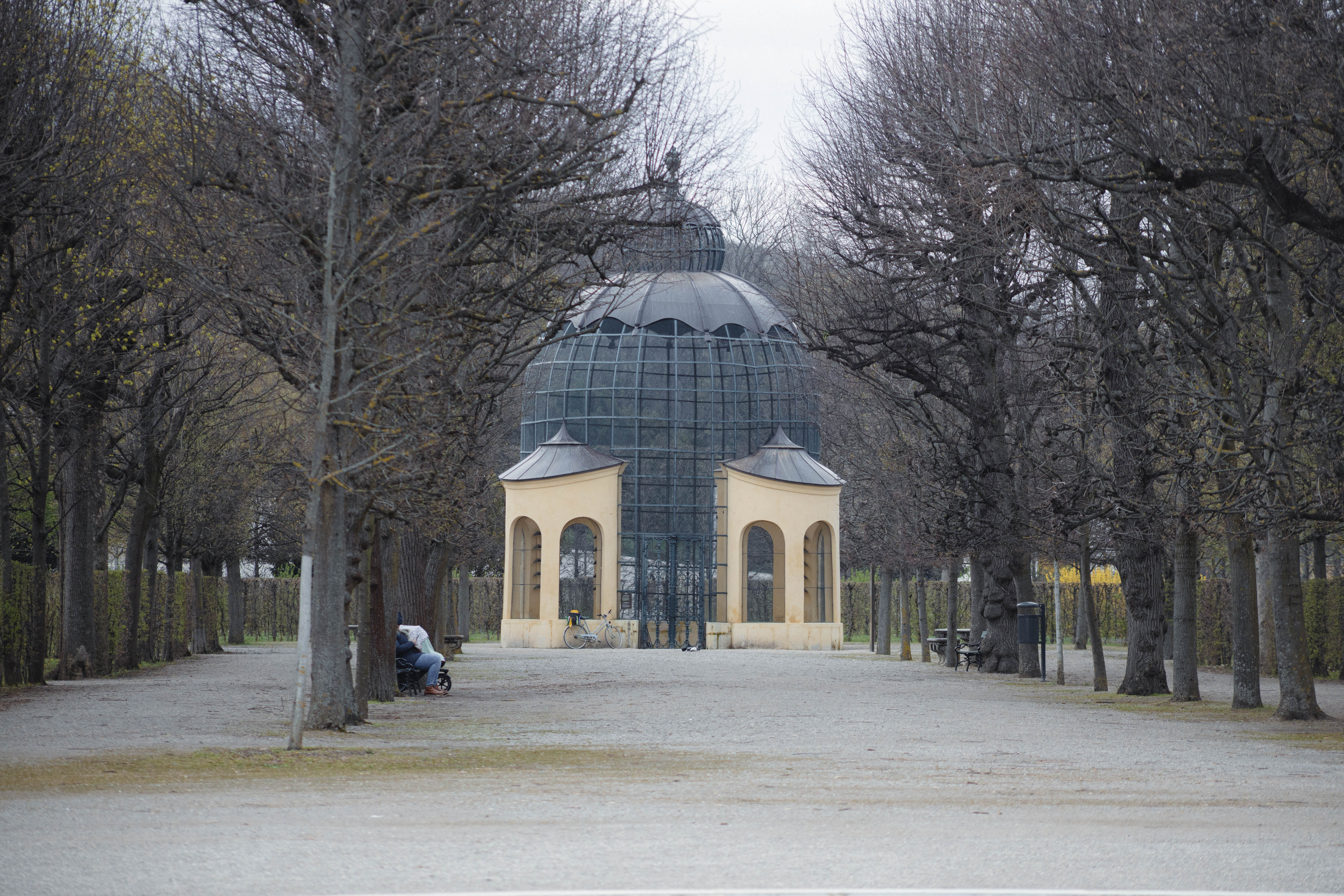 Vienna 526