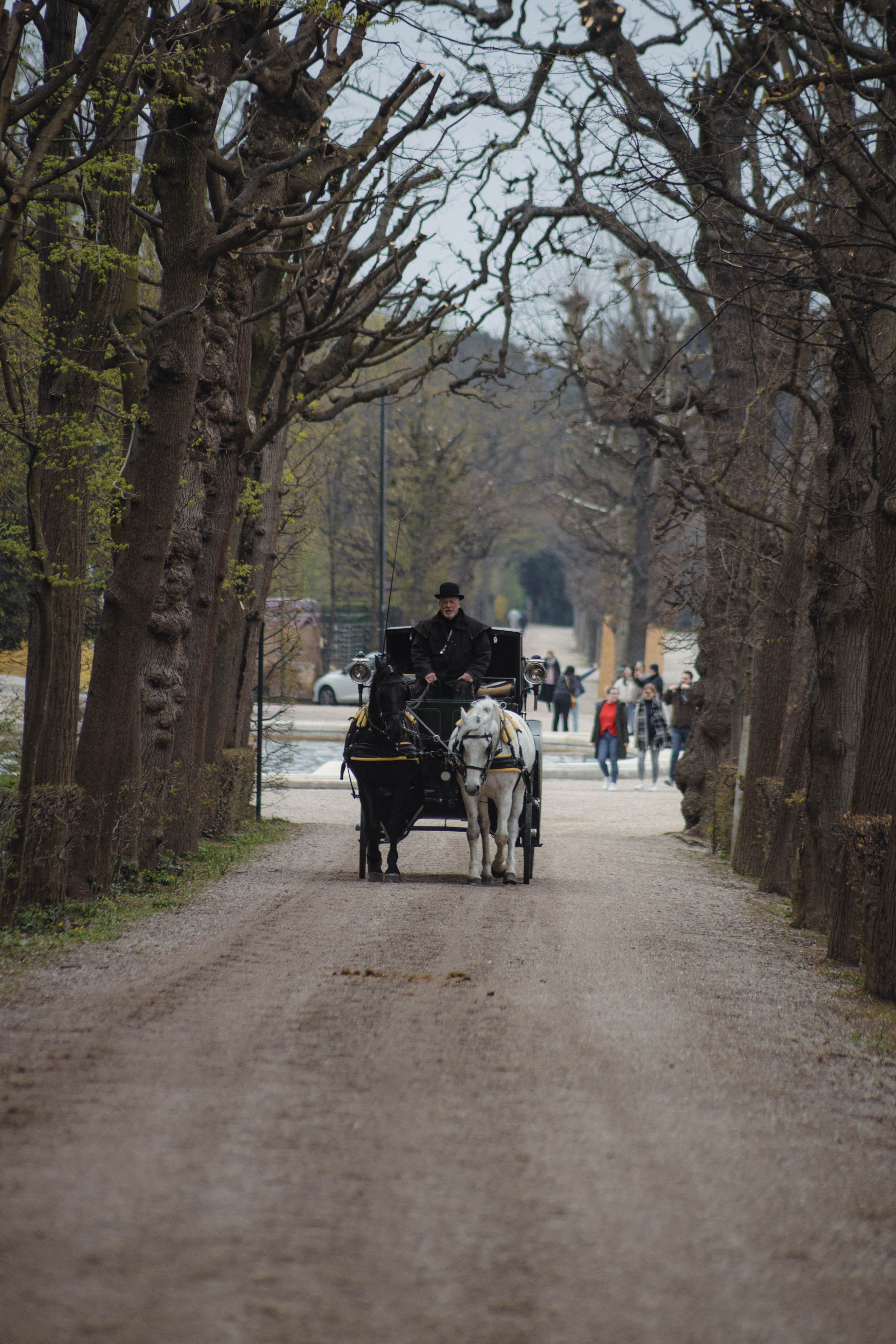 Vienna 551
