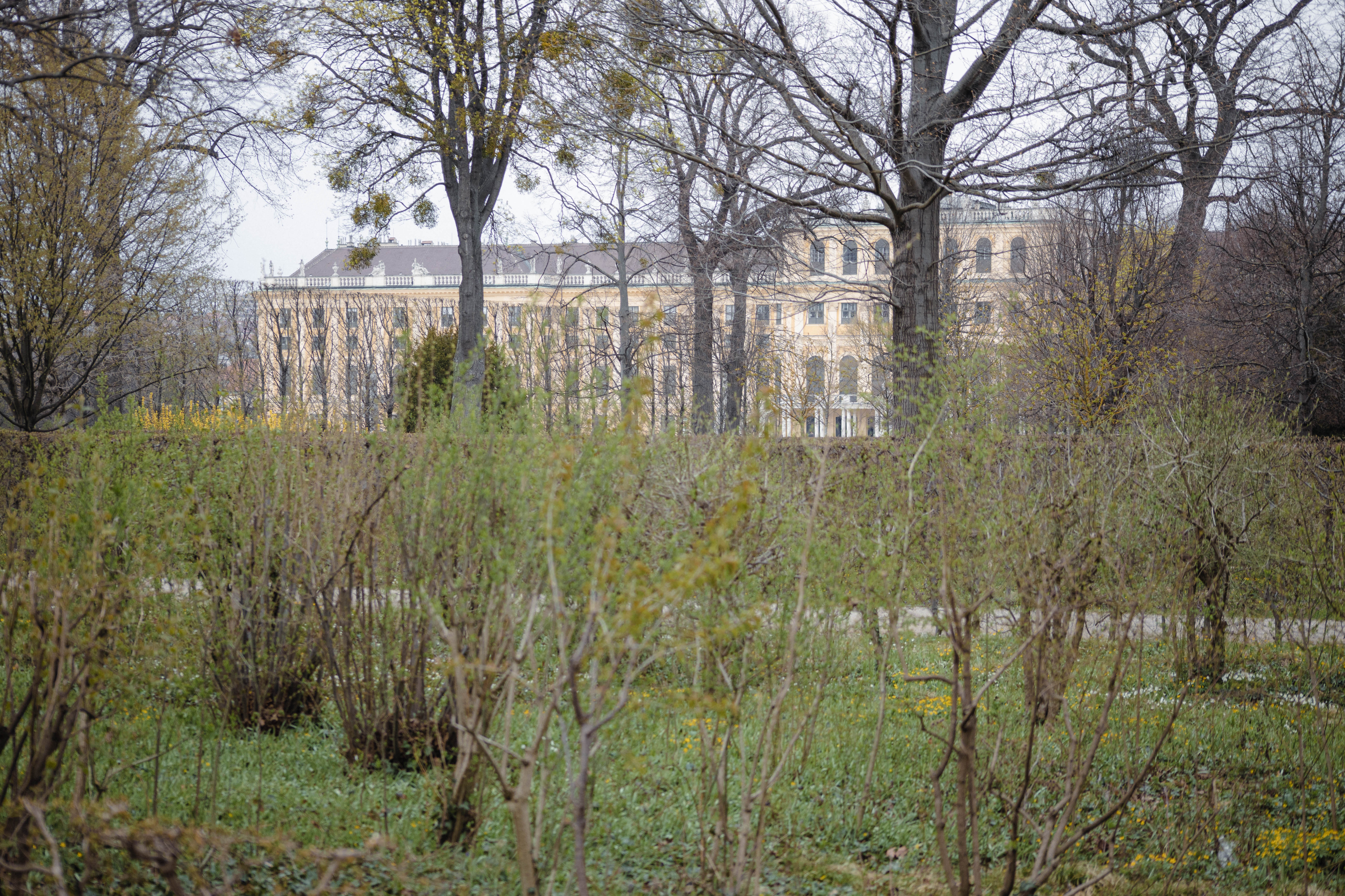 Vienna 556