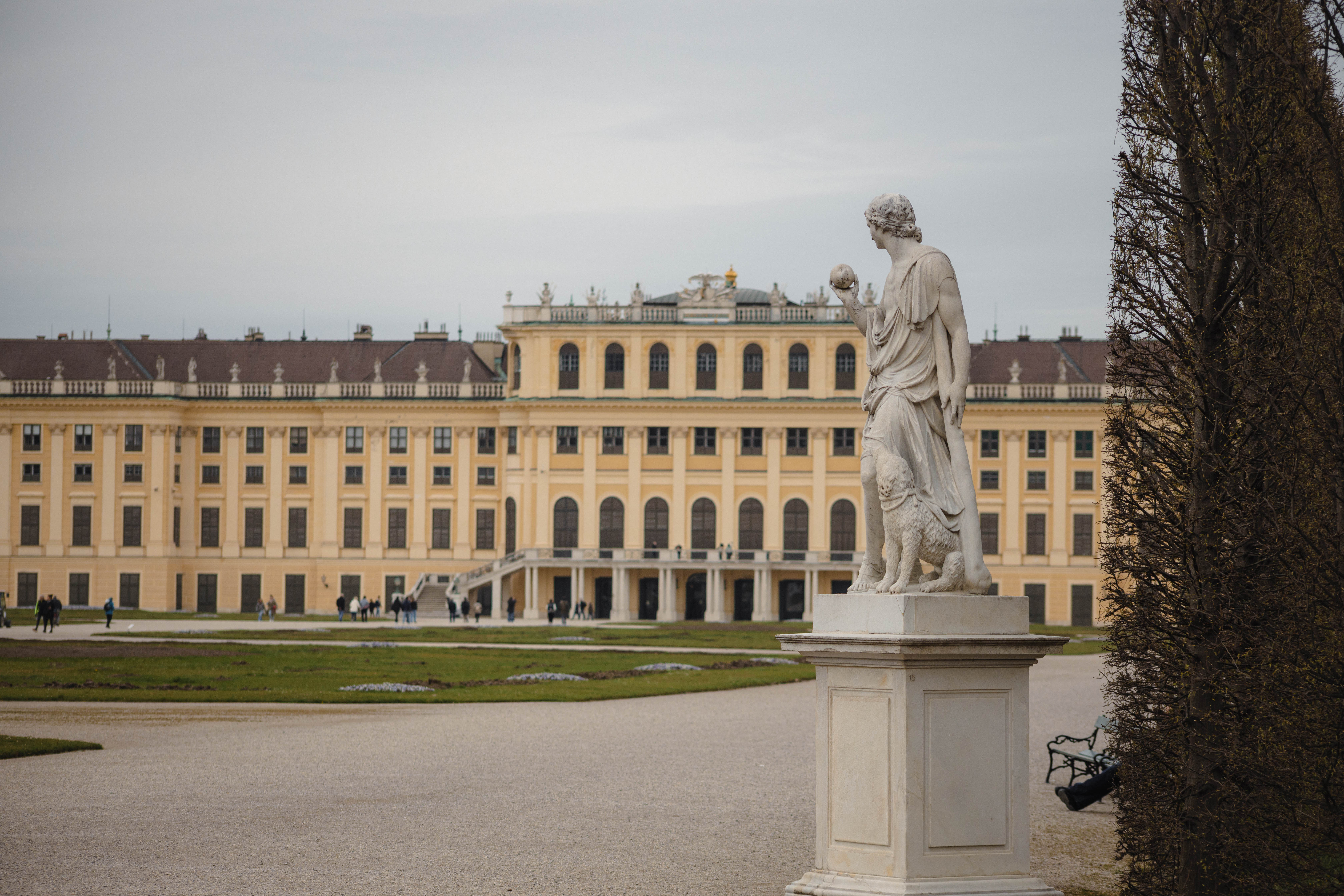 Vienna 559