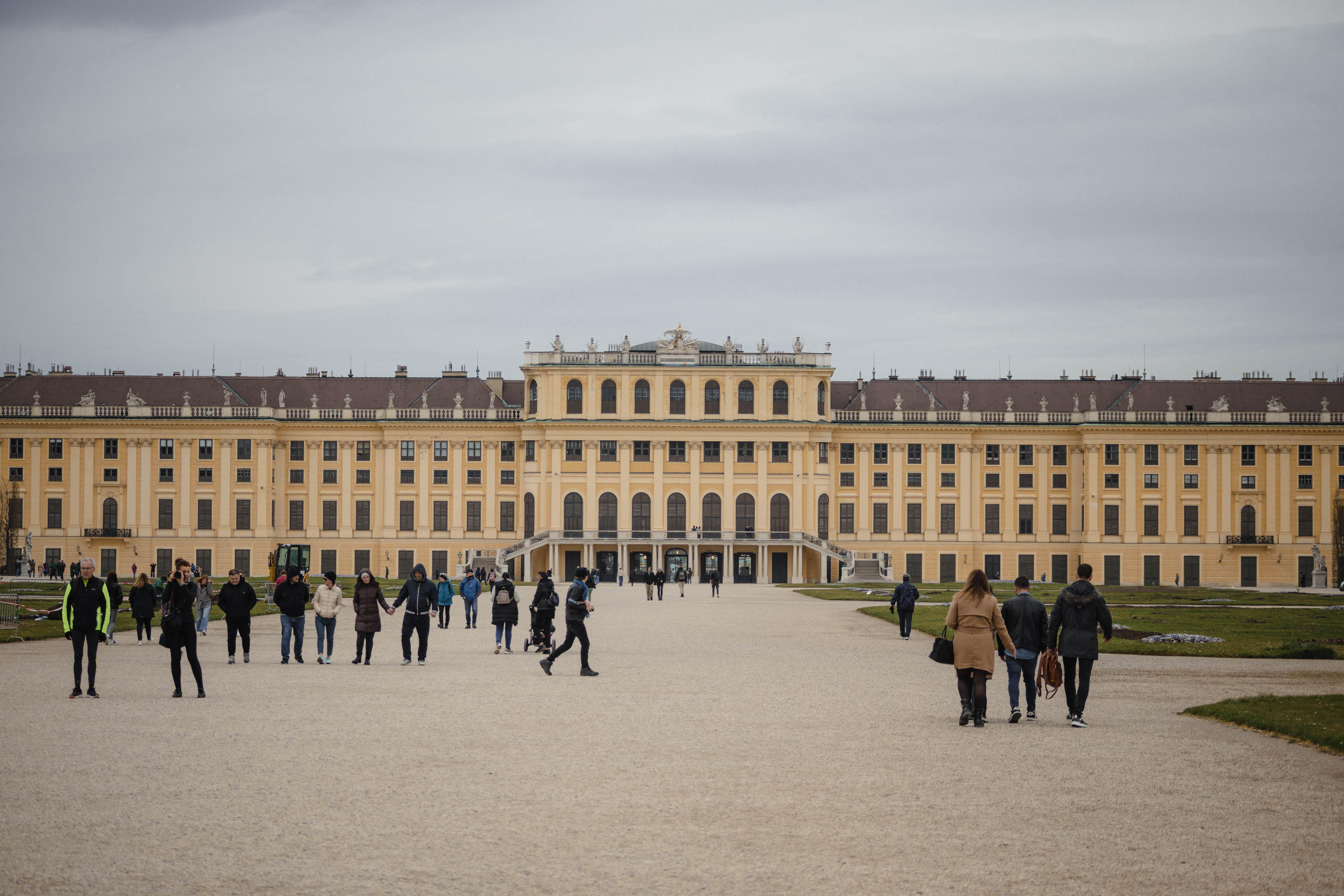 Vienna 564