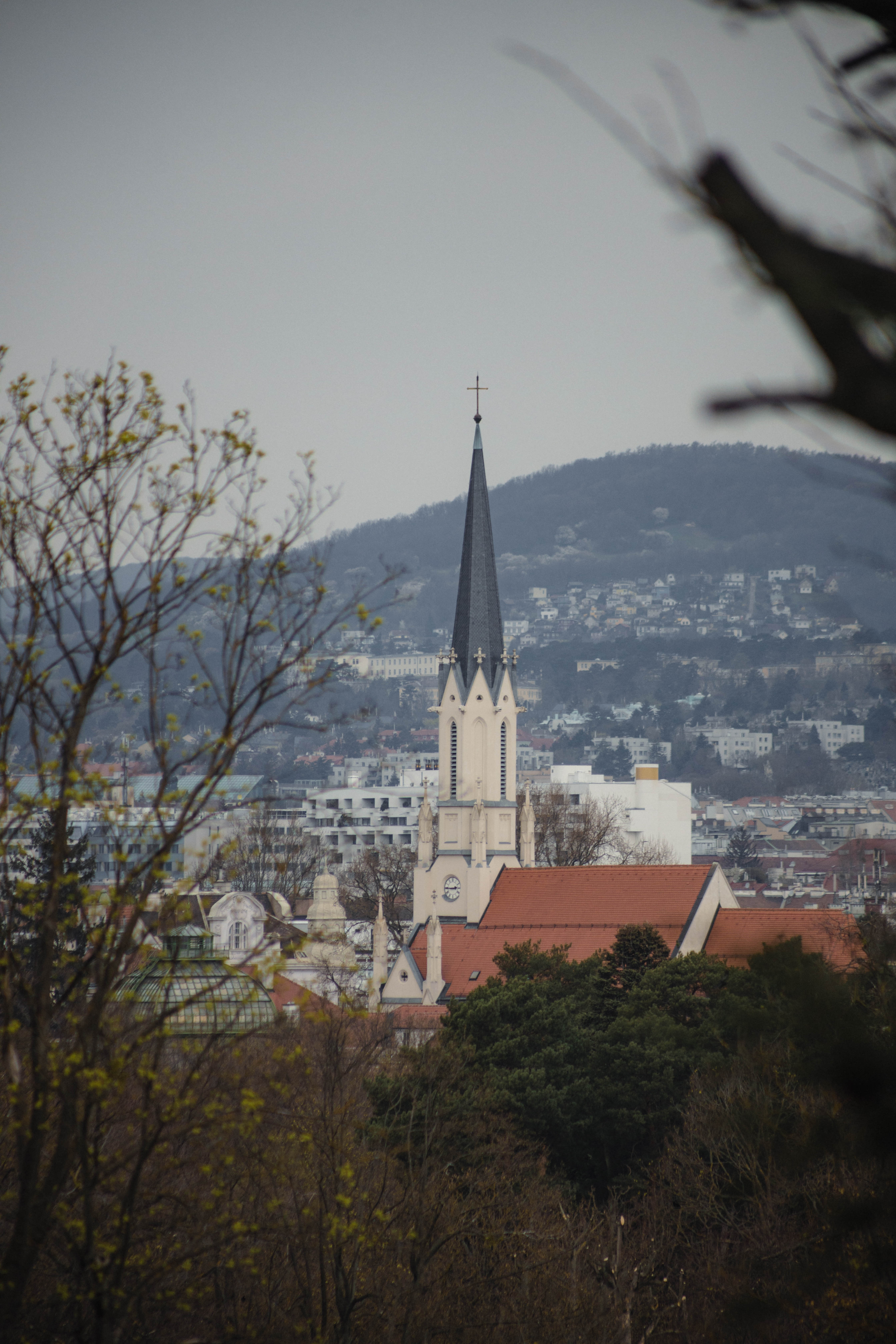 Vienna 579