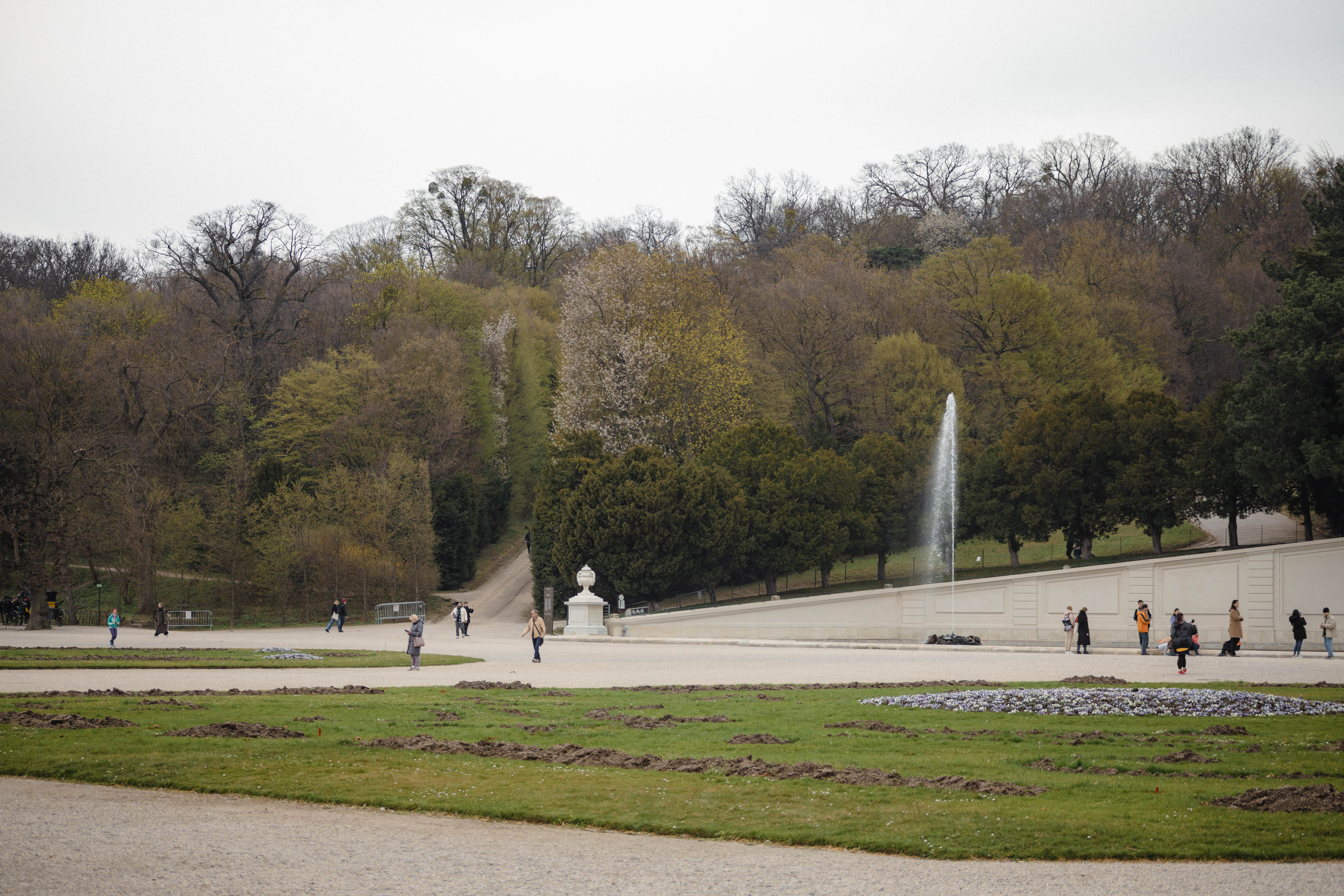 Vienna 582