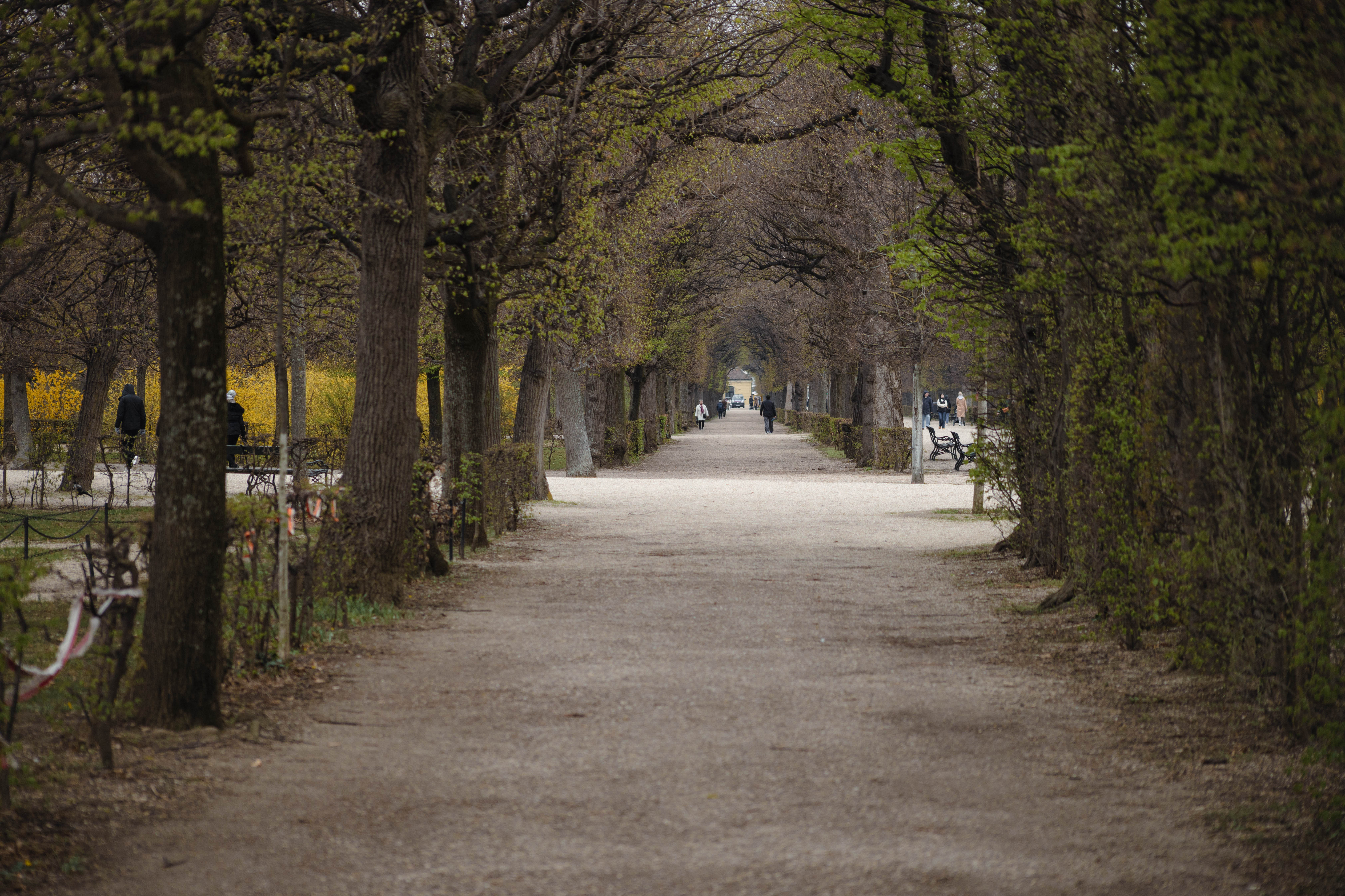 Vienna 588