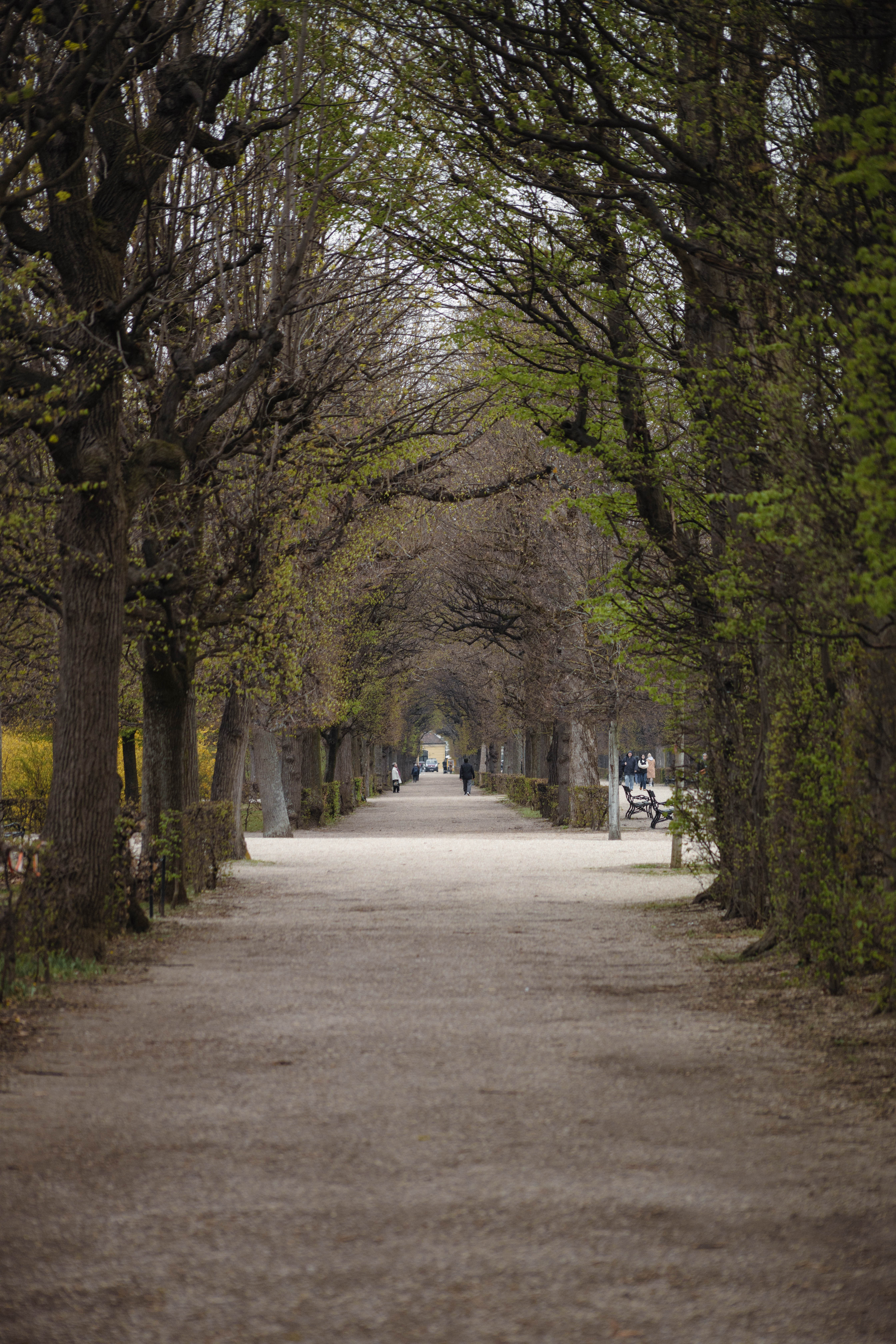 Vienna 589