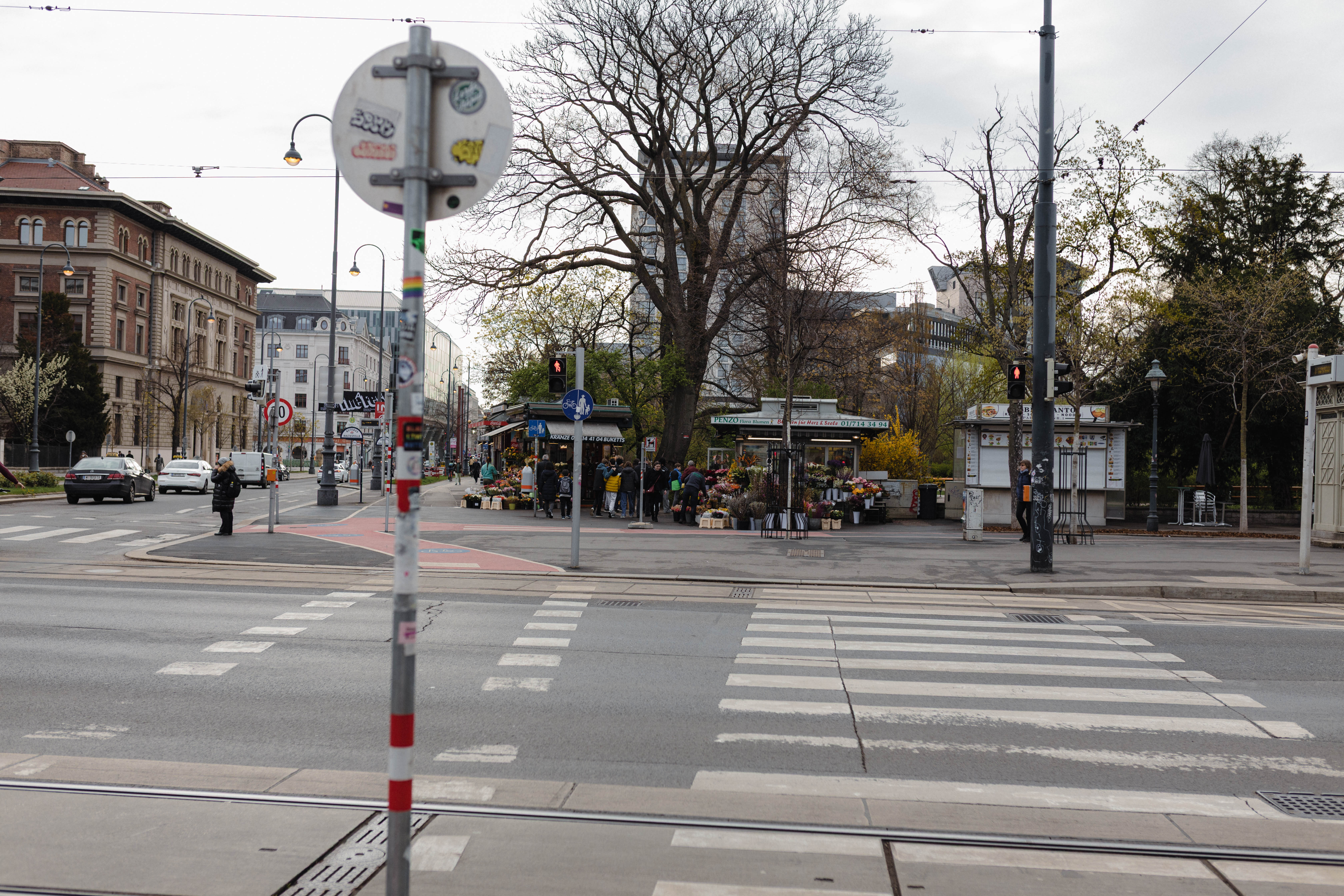 Vienna 613