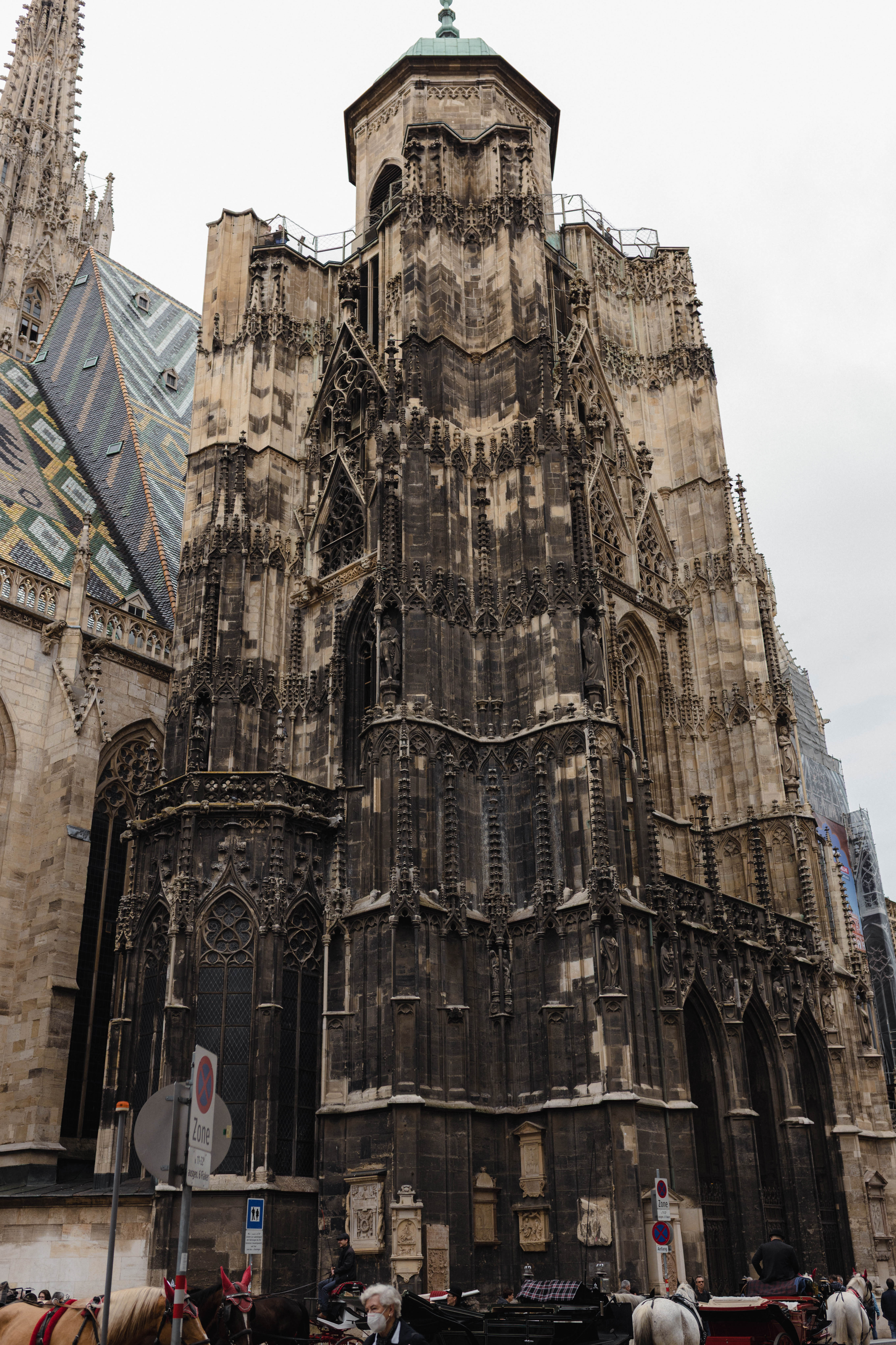 Vienna 755
