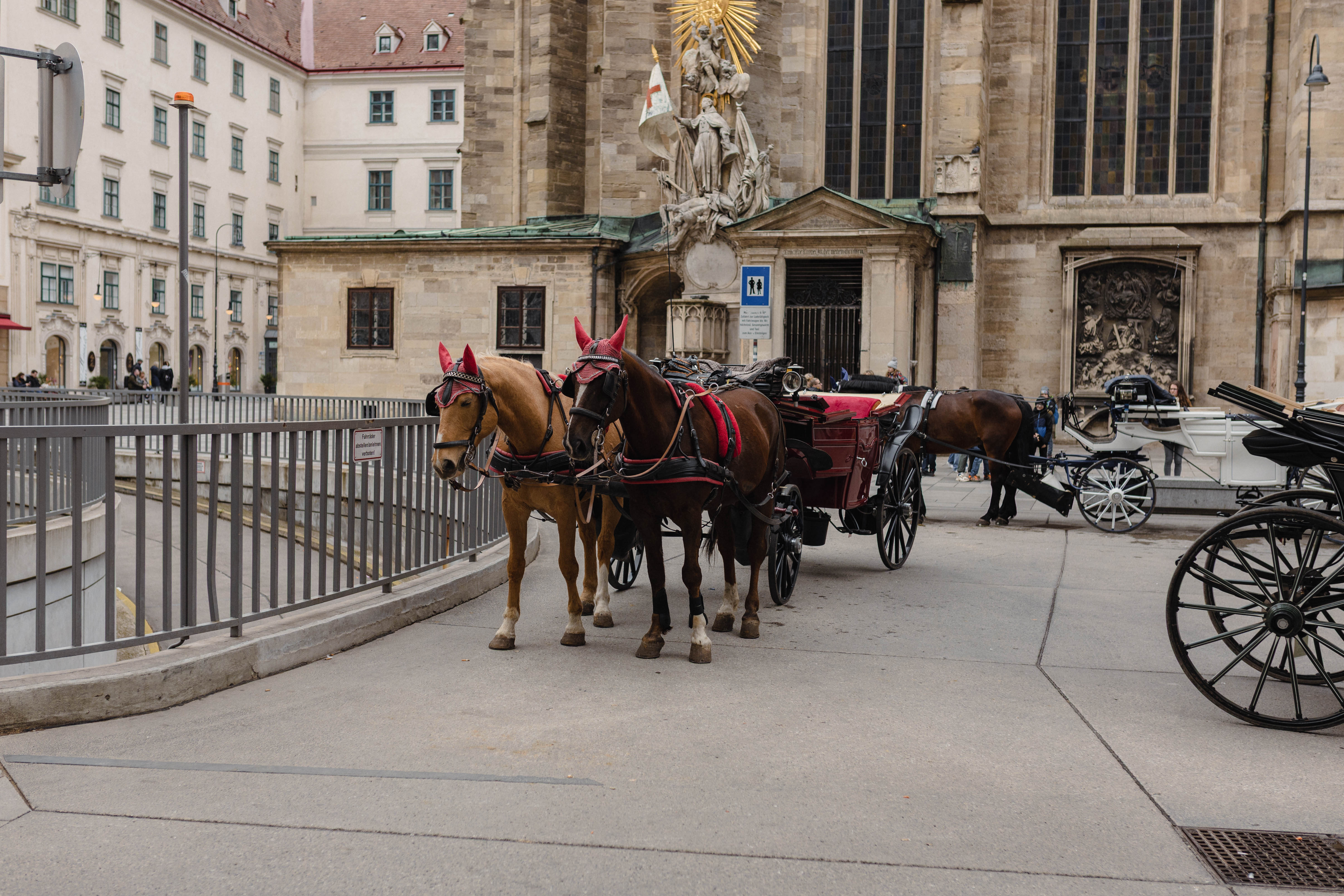 Vienna 758
