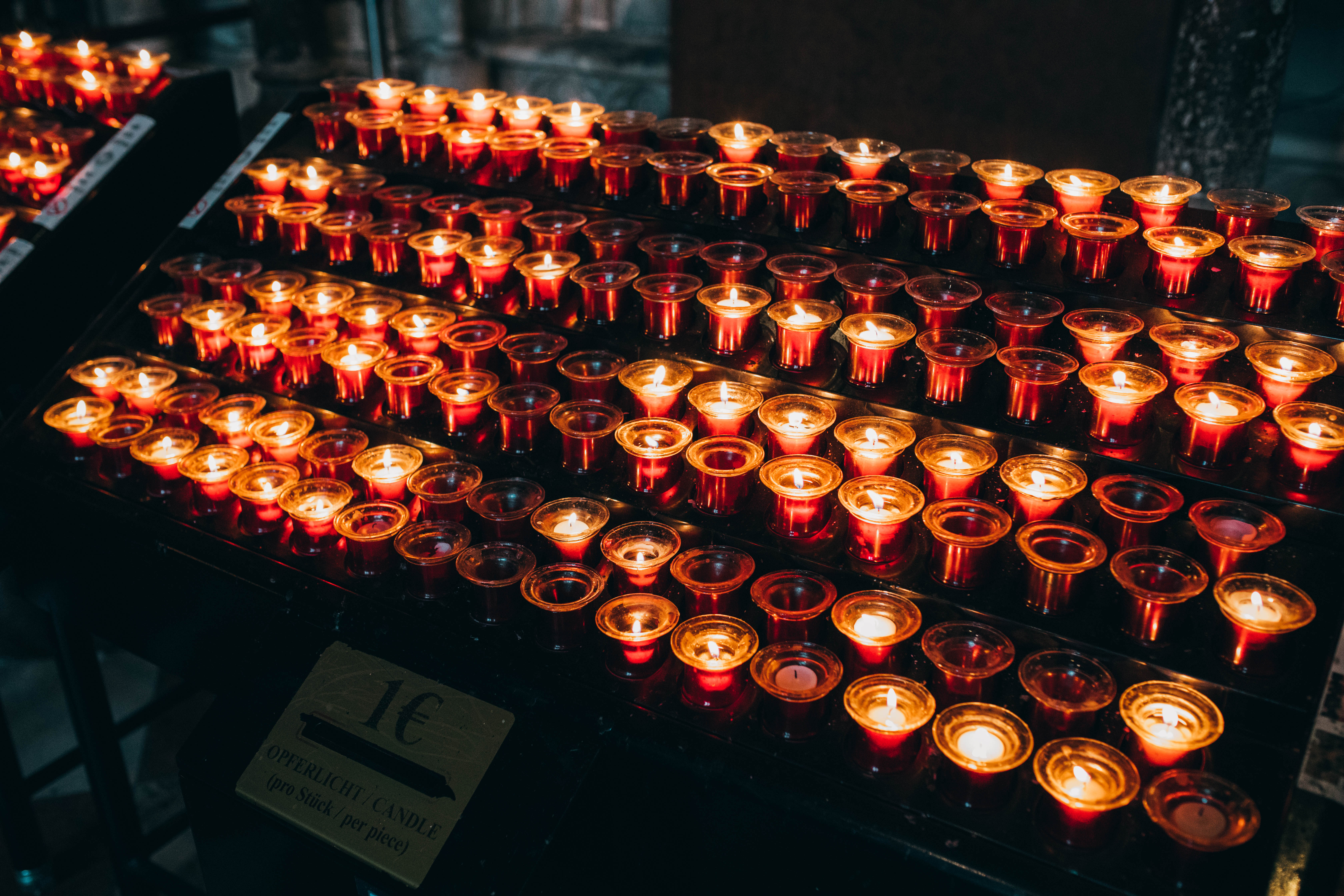 Vienna 784