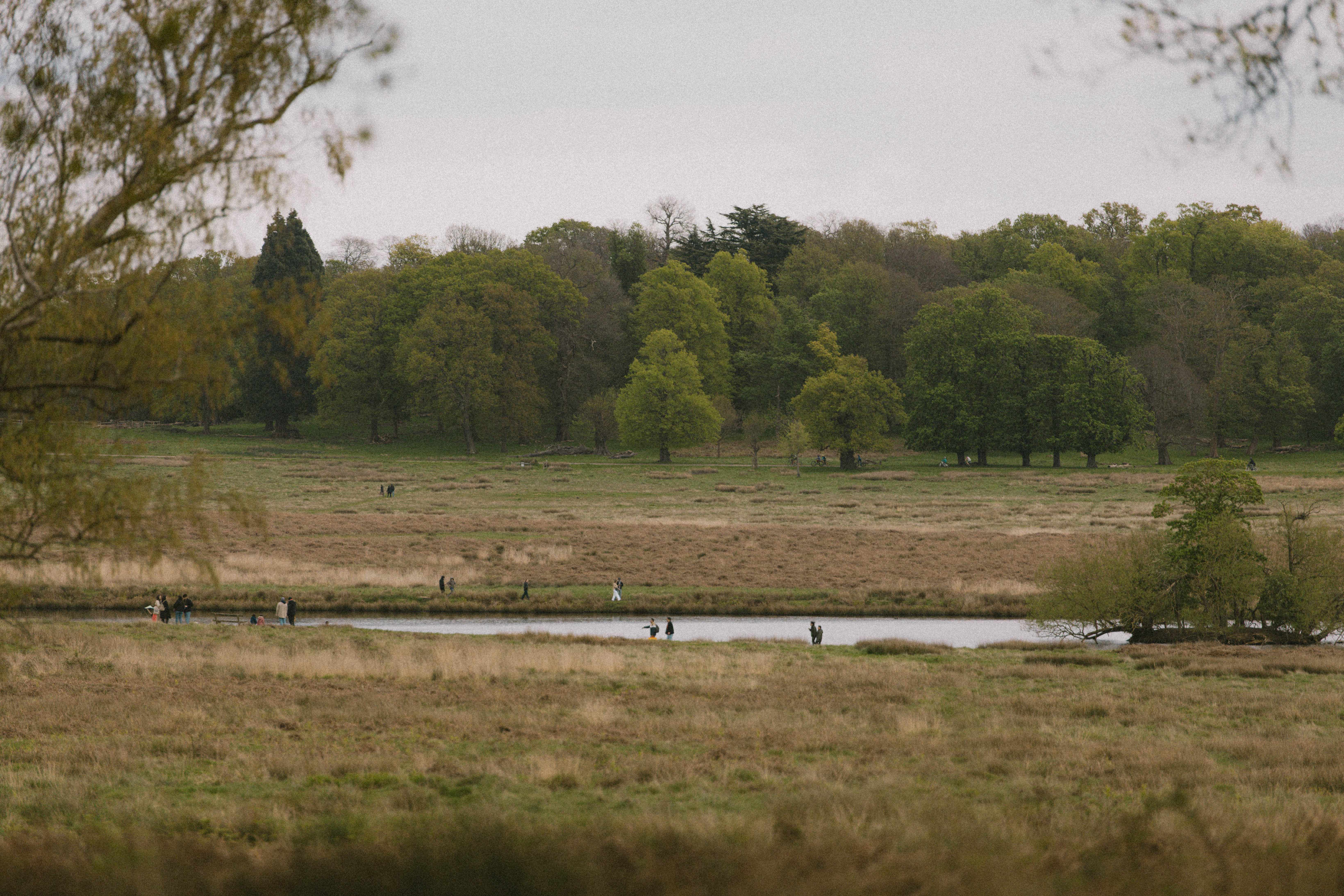 Richmond Park 182