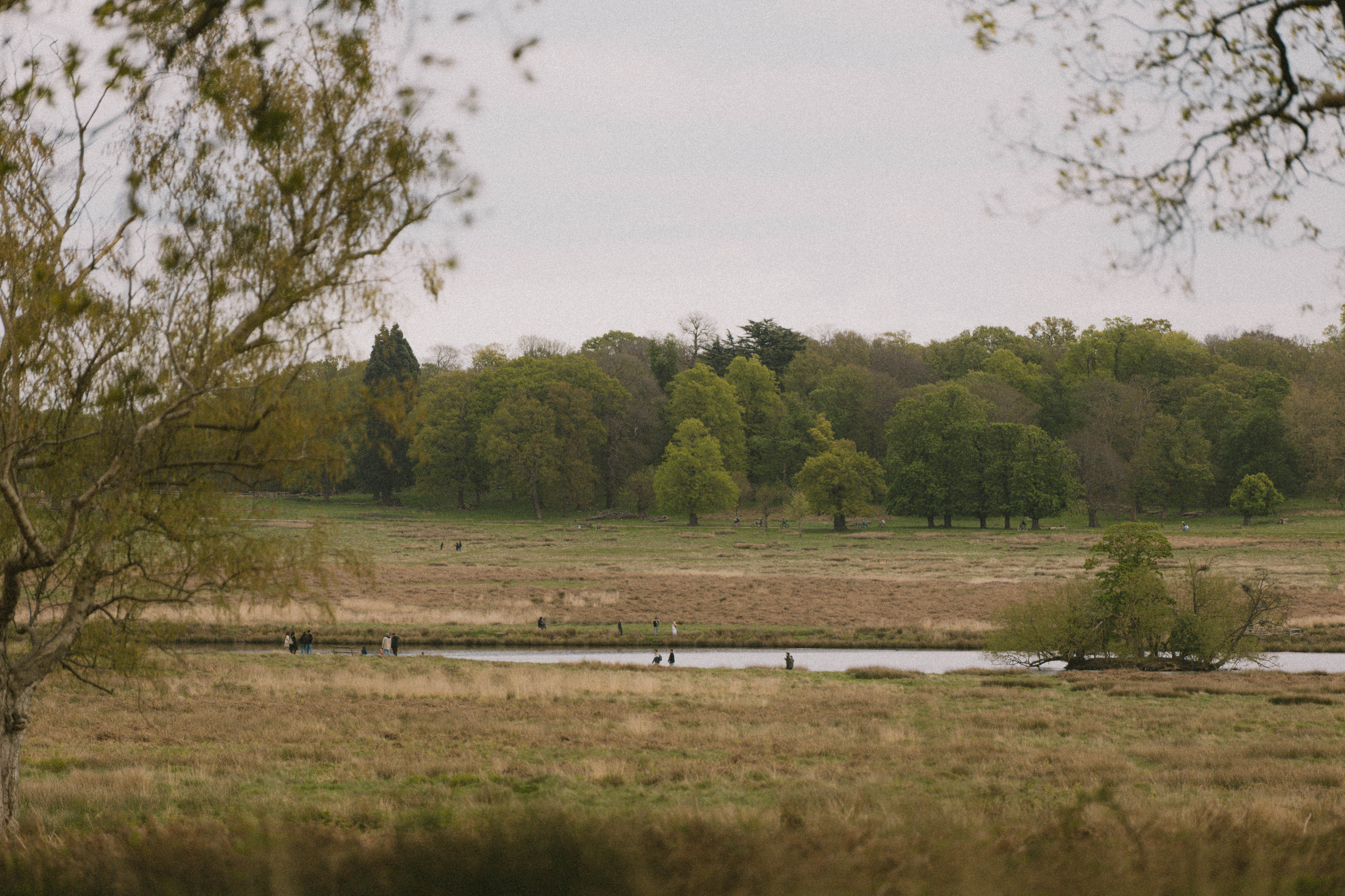 Richmond Park 183