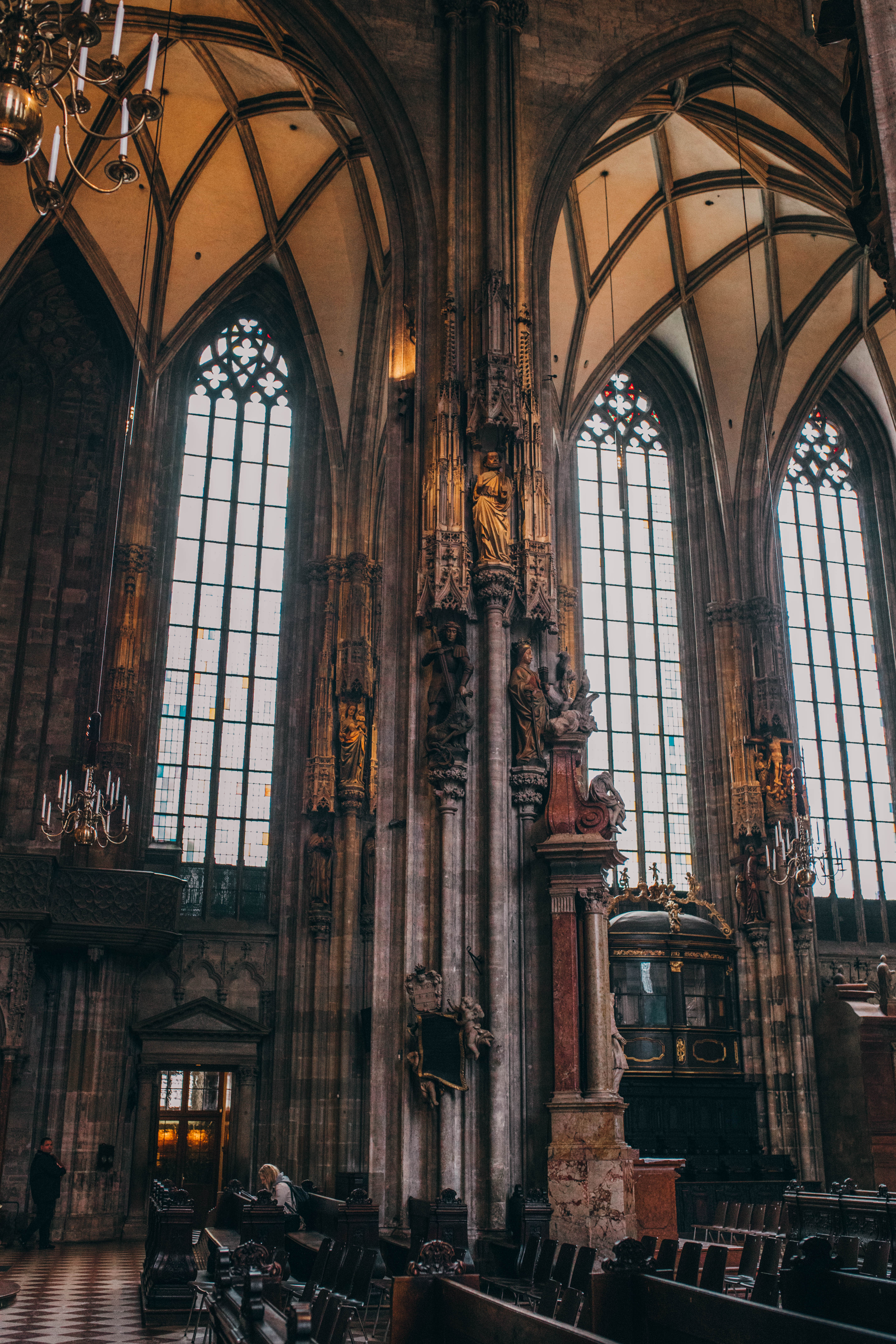 Vienna 795