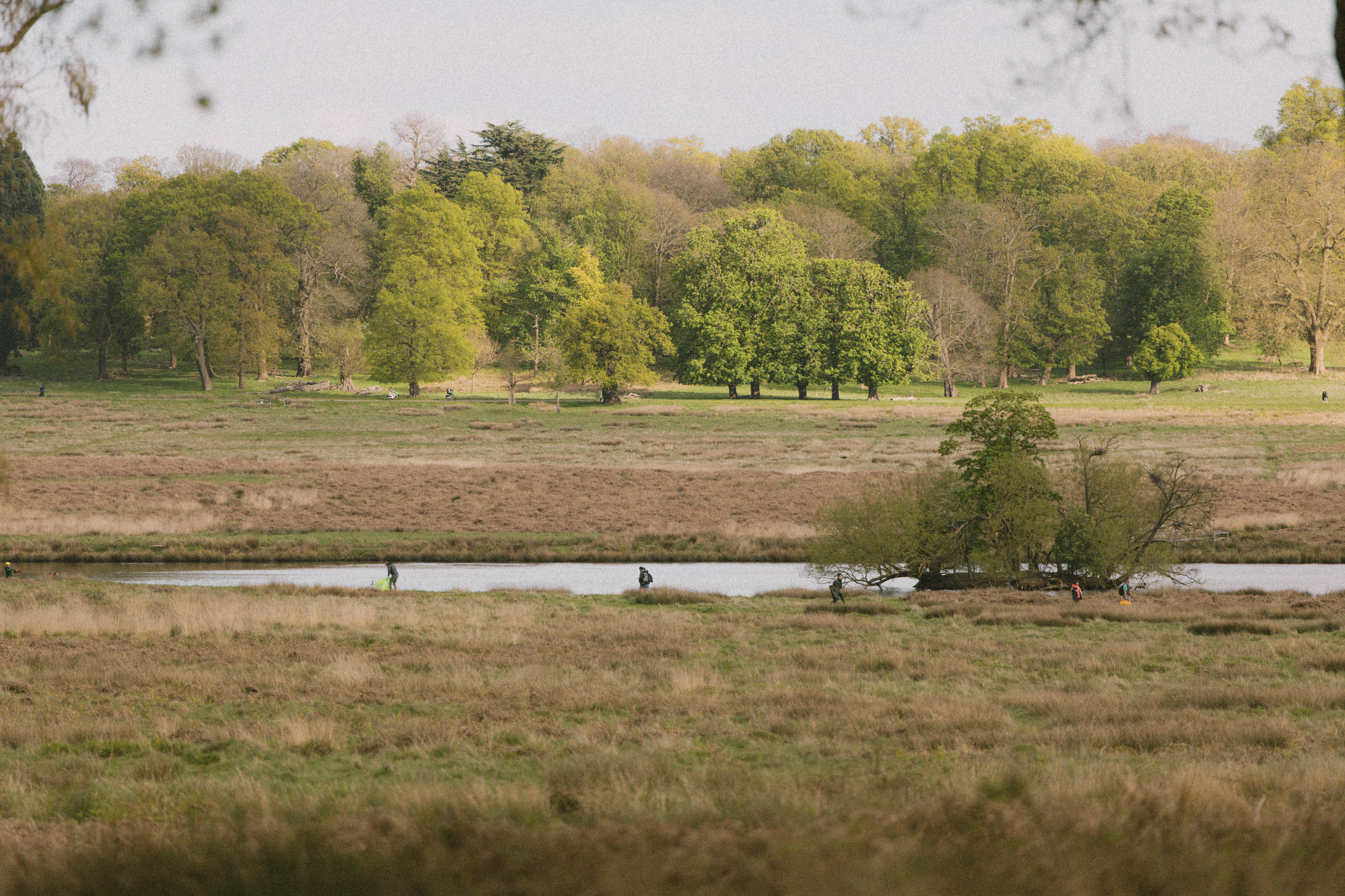 Richmond Park 205