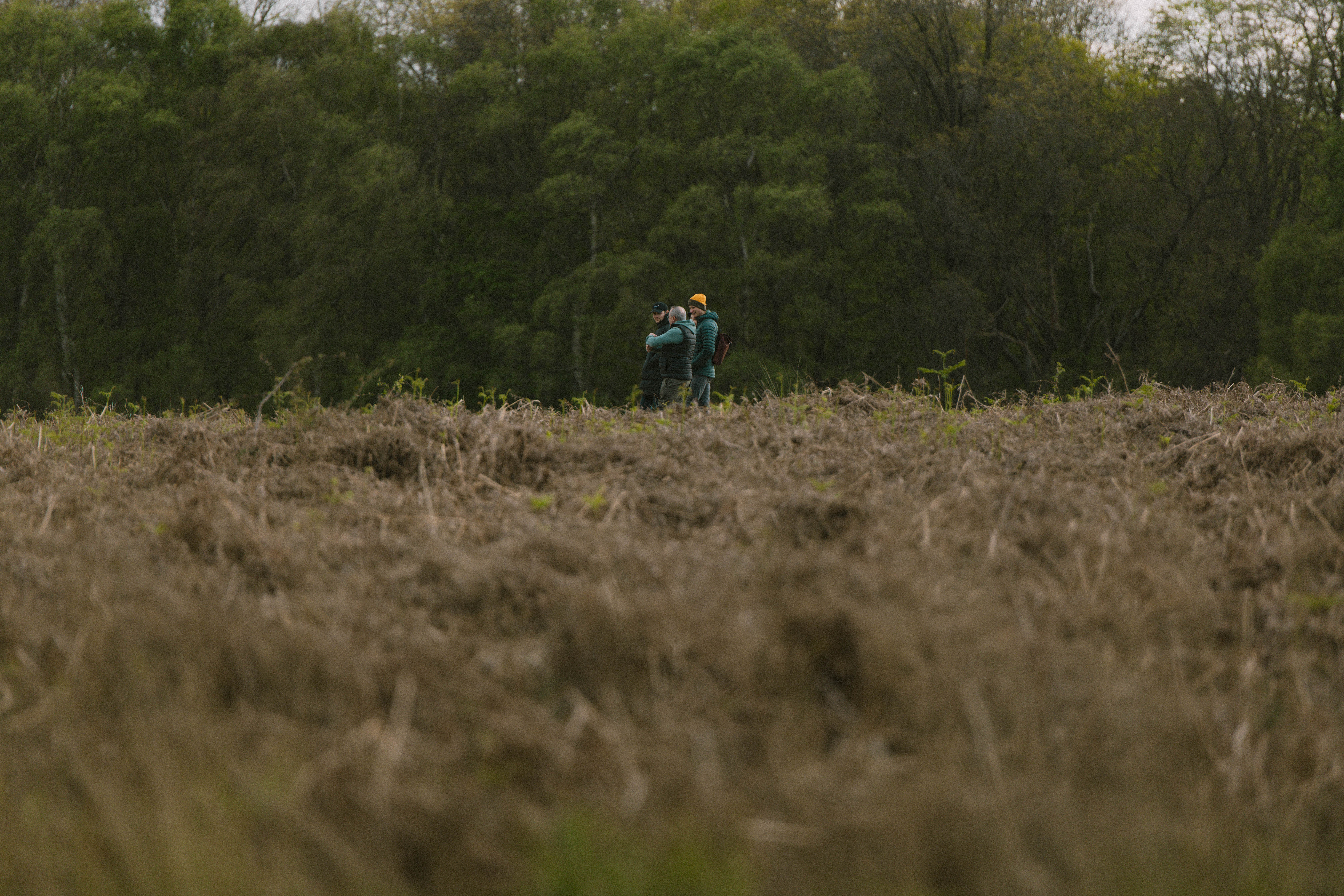 Richmond Park 213
