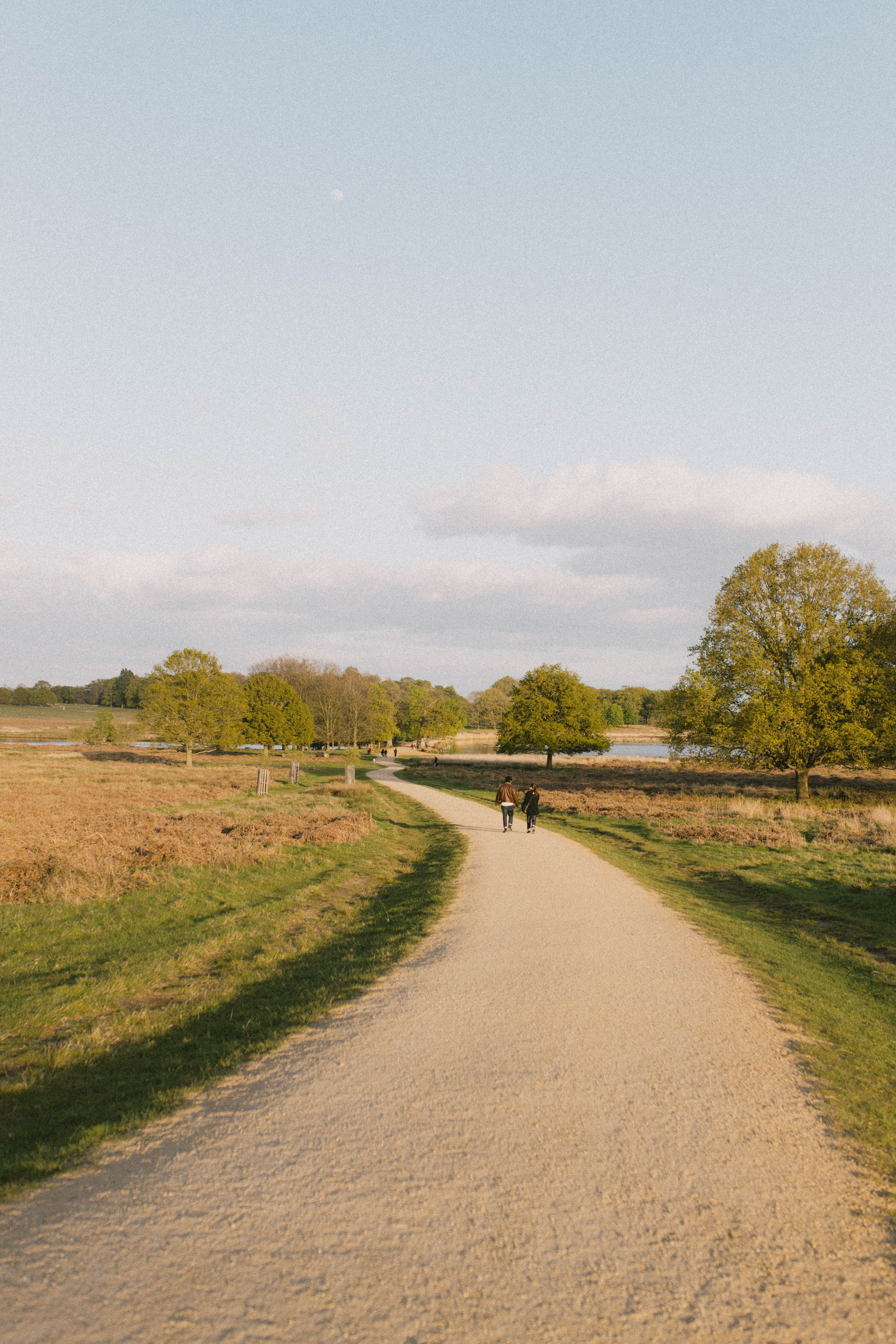 Richmond Park 230