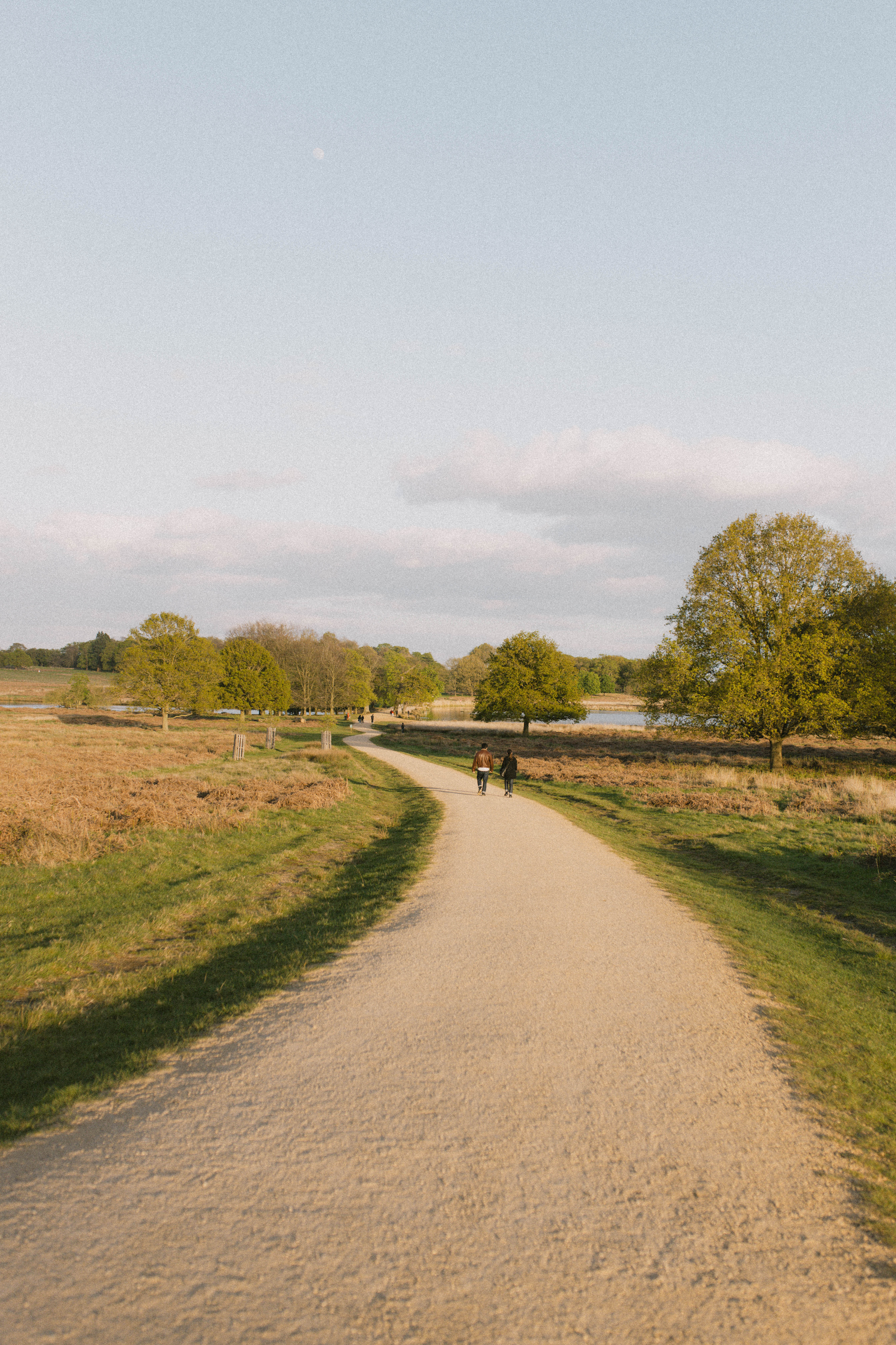 Richmond Park 231