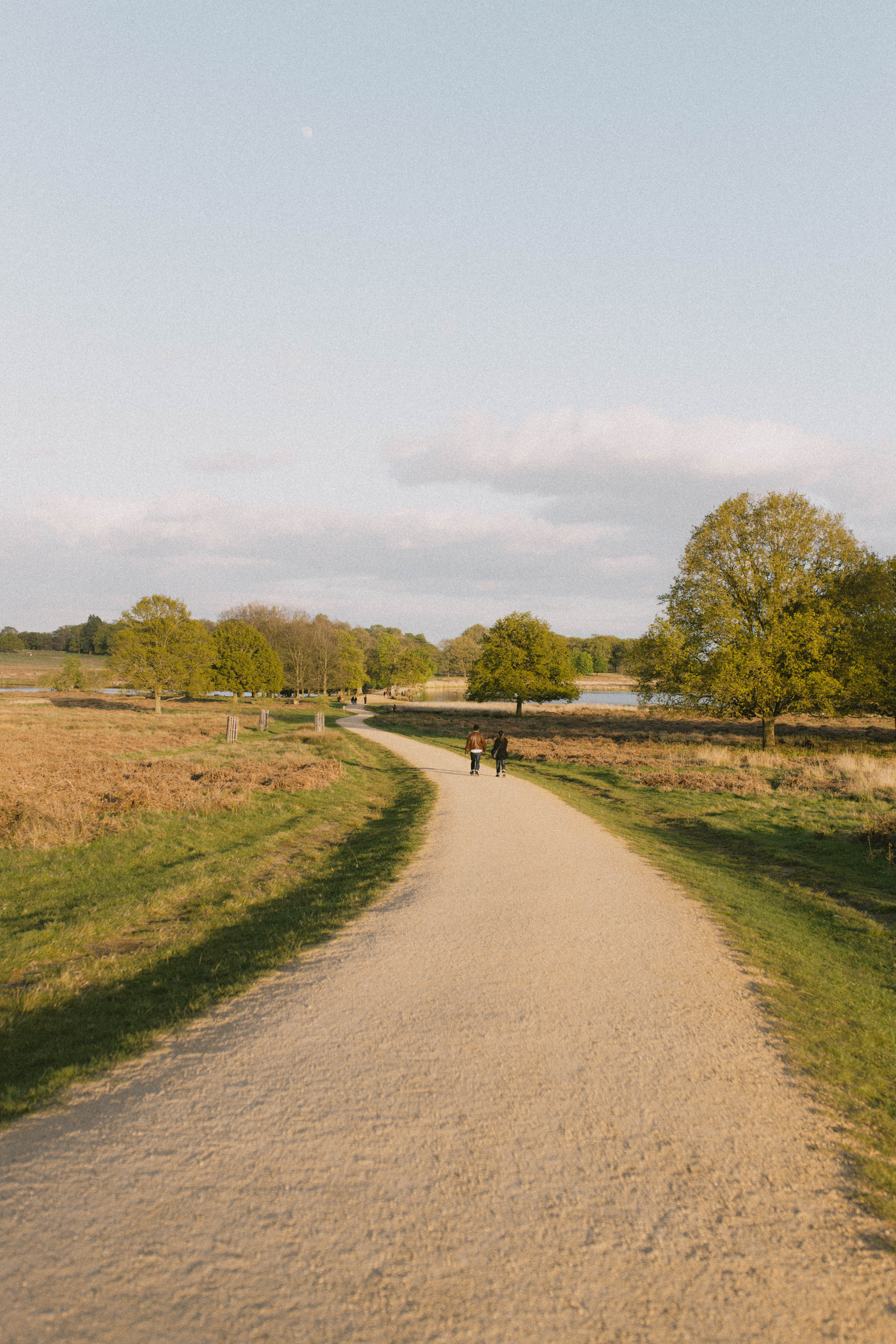 Richmond Park 232